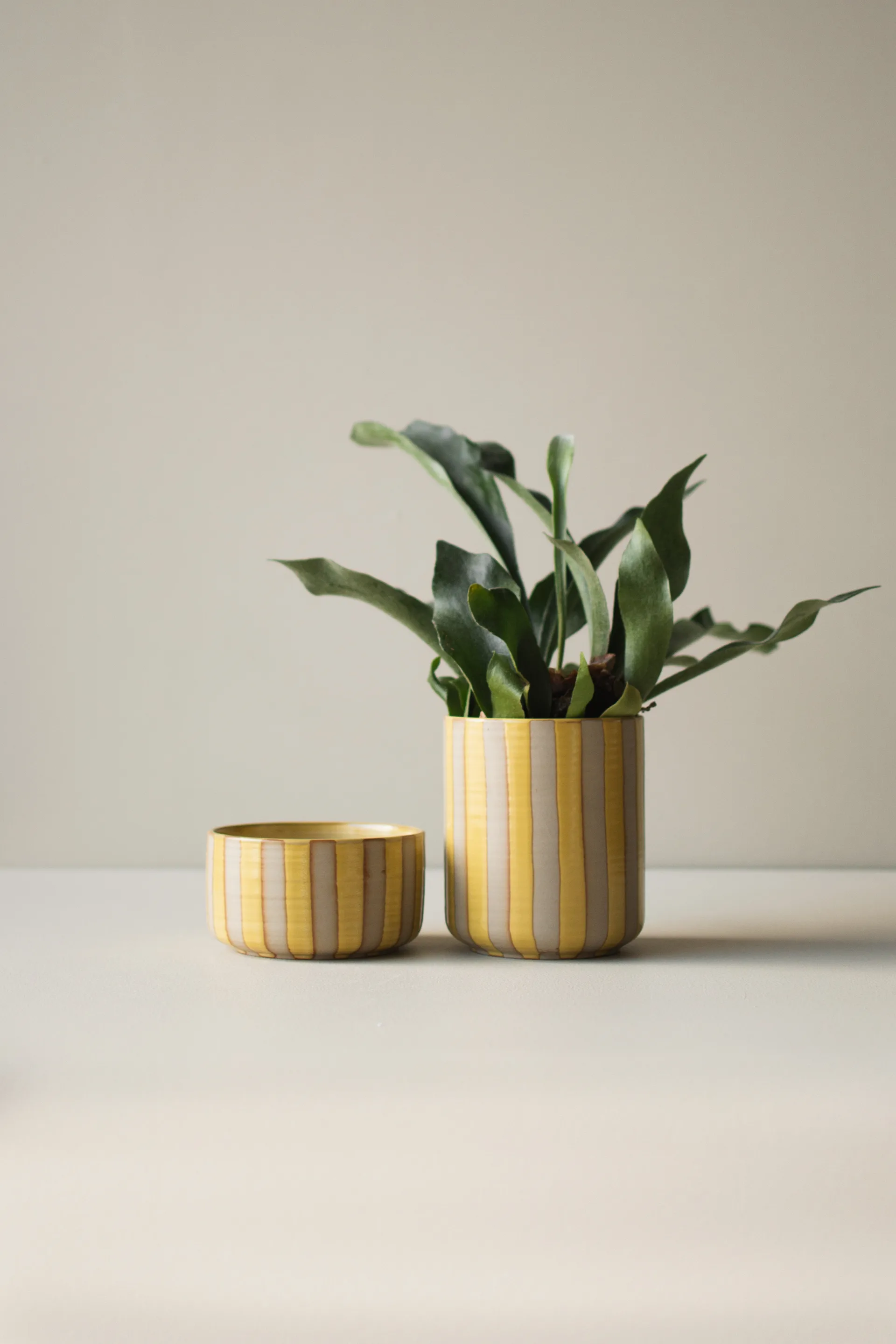 라인 팟 Ø14x16 cm, Yellow DBKD | 디비케이디