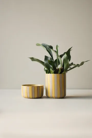 라인 팟 Ø14x16 cm - Yellow - DBKD | 디비케이디