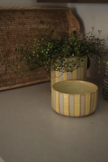 라인 장식 보울 Ø16 cm - Yellow - DBKD | 디비케이디