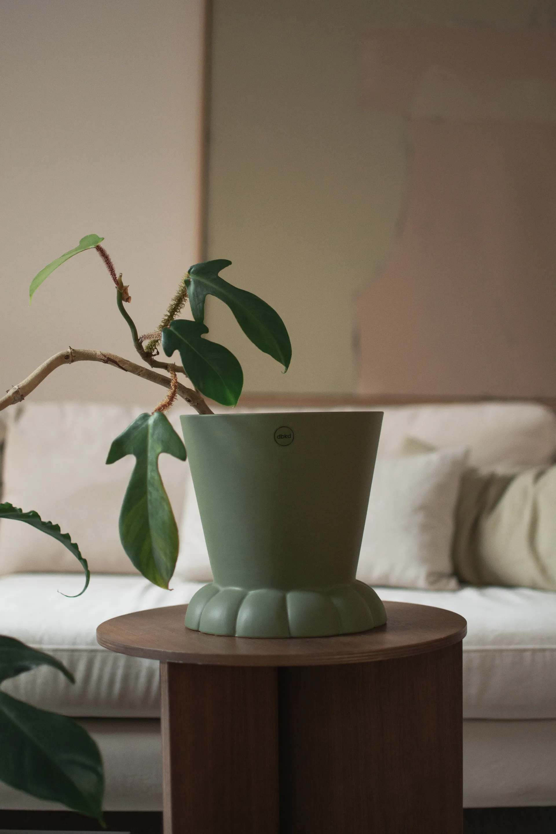 플로라 화분 19 cm, Green DBKD | 디비케이디