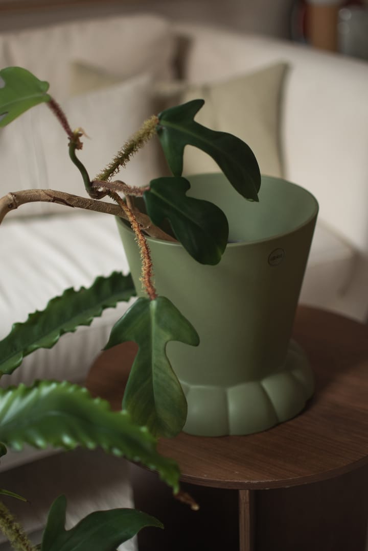 플로라 화분 19 cm, Green DBKD | 디비케이디