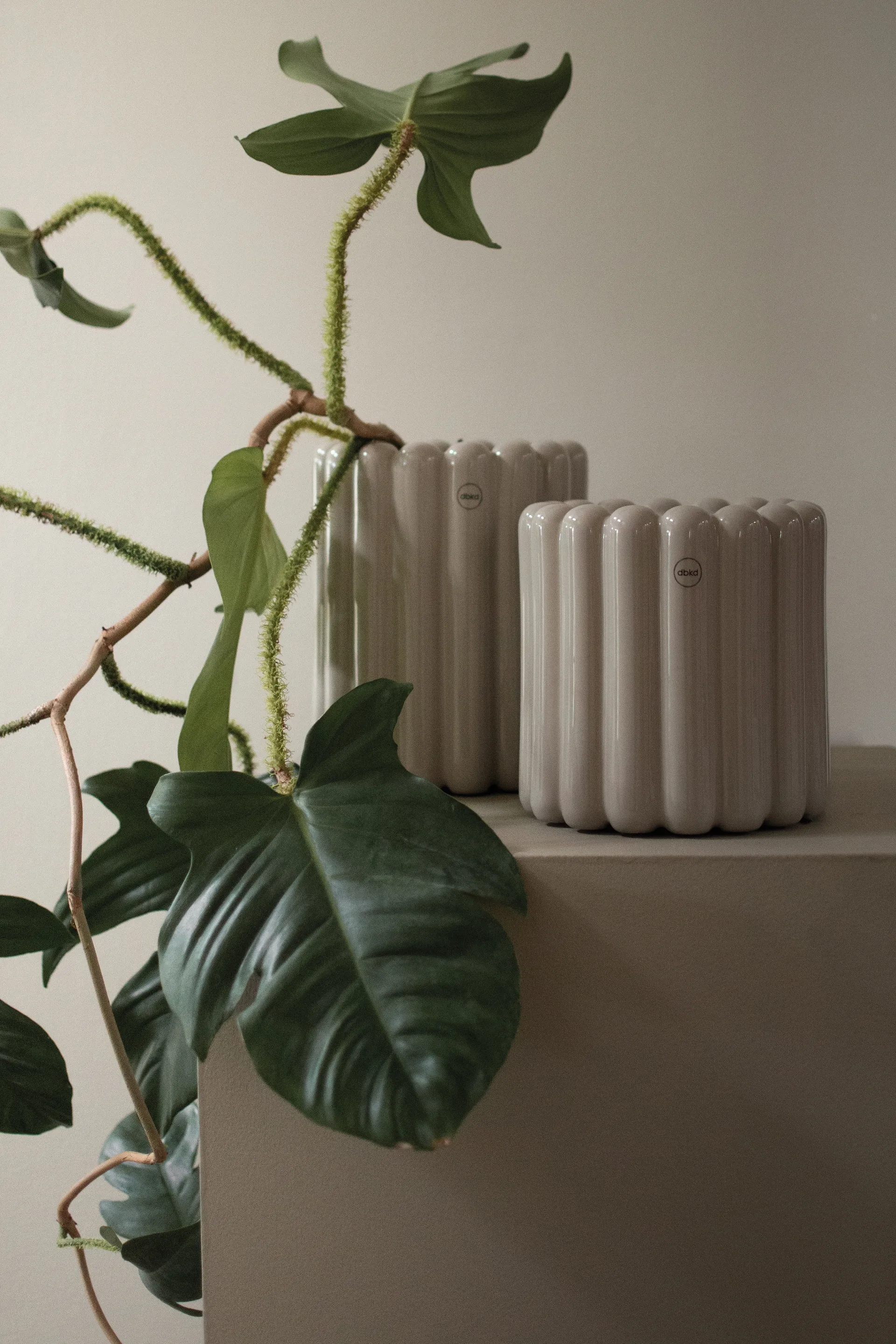 미스트 플라워팟 스몰 Ø19x19 cm, Shiny mole DBKD | 디비케이디