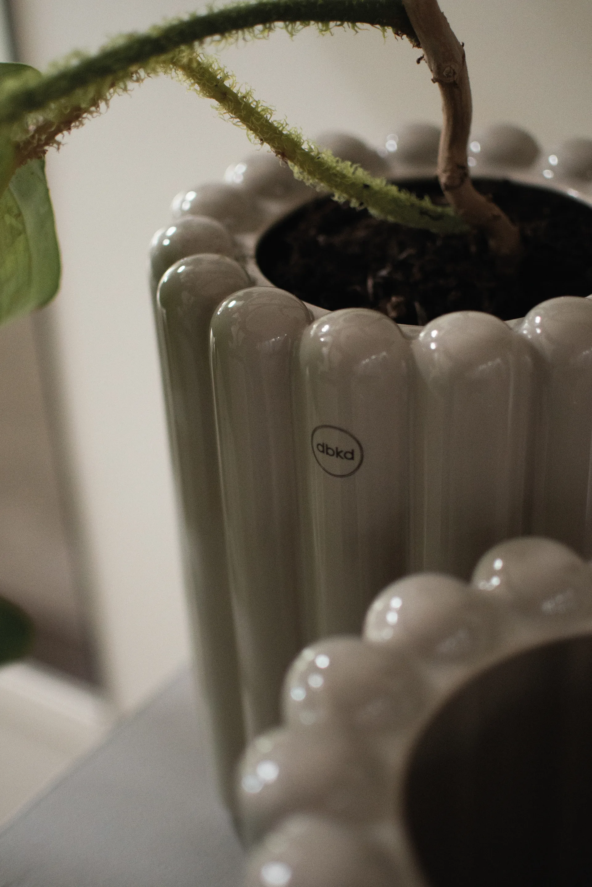 미스트 플라워팟 미듐 Ø19x23 cm, Shiny mole DBKD | 디비케이디