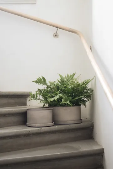 플랜트 보울 화분 2개 세트 - Beige - DBKD | 디비케이디