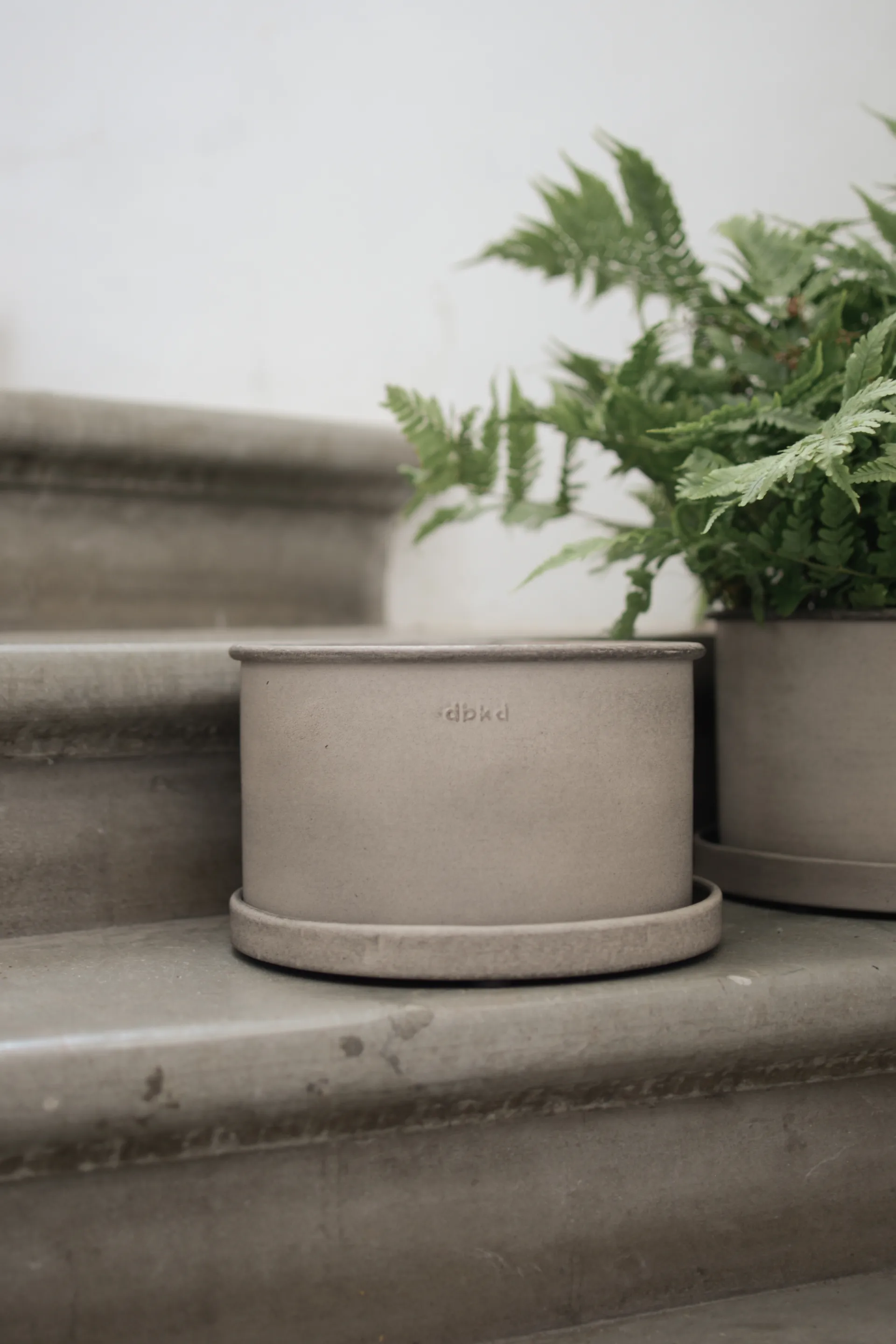 플랜트 보울 화분 2개 세트, Beige DBKD | 디비케이디