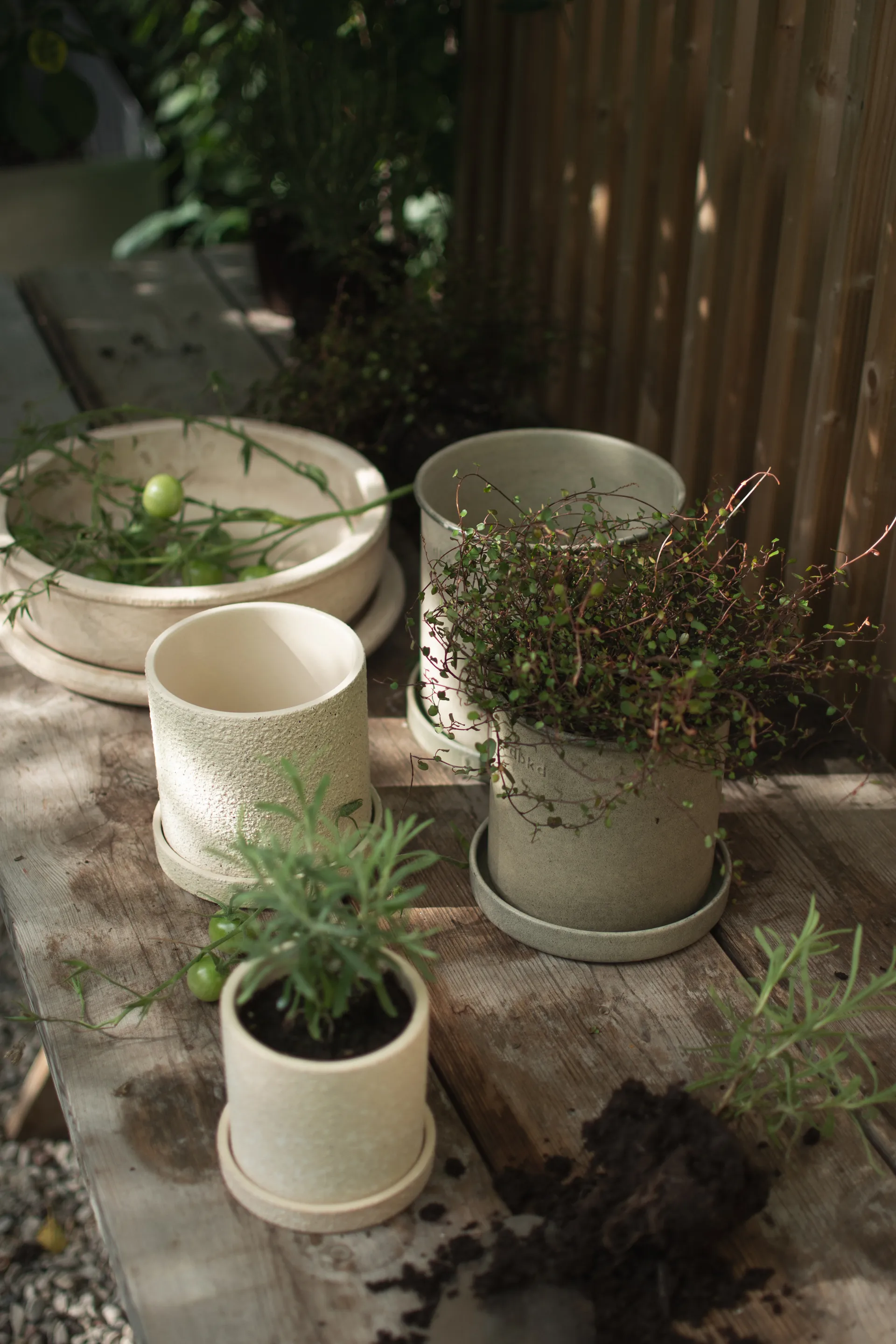 플랜트 팟 스몰 2개 세트, Beige DBKD | 디비케이디