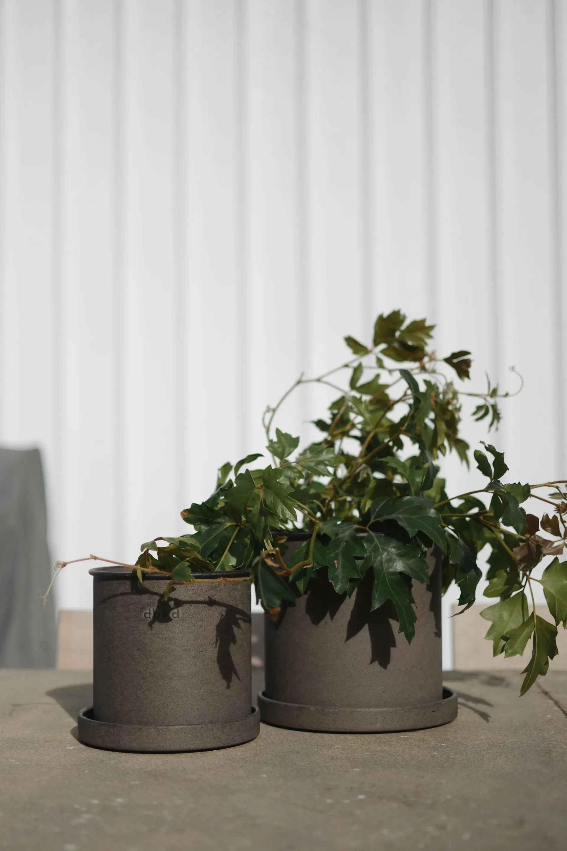 플랜트 팟 스몰 2개 세트, Brown DBKD | 디비케이디