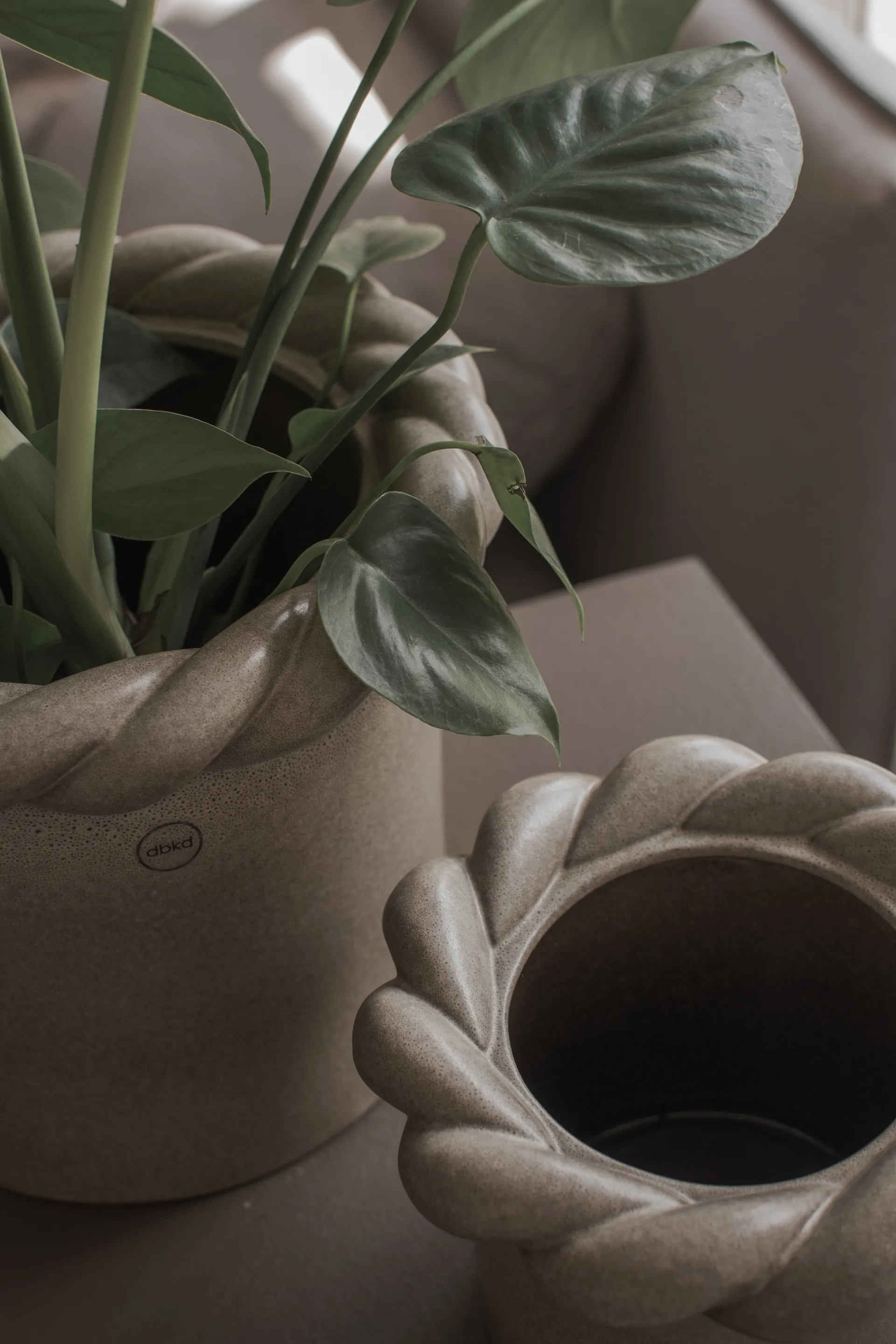 트와인 플라워 팟 22 cm, Beige DBKD | 디비케이디