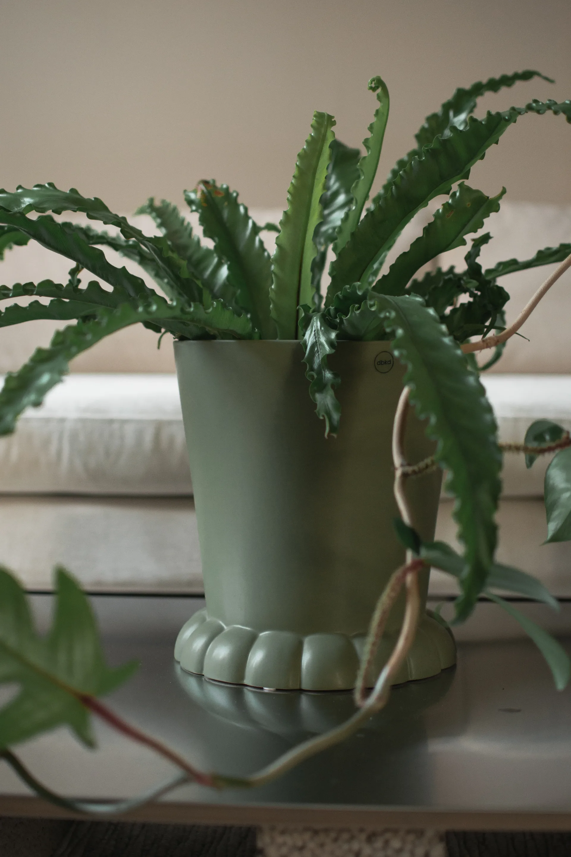 플로라 화분 25 cm, Green DBKD | 디비케이디