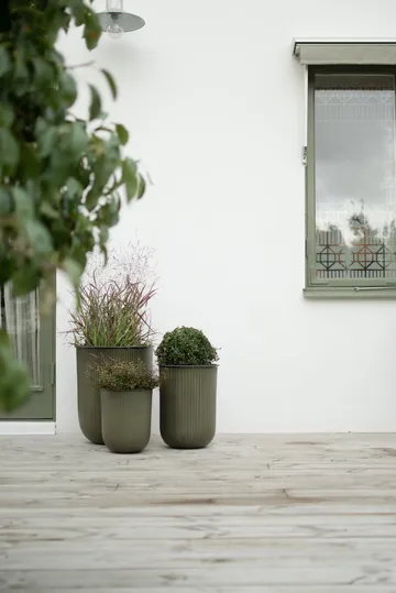 아웃 스트라이프 화분 3개 세트 - Green - DBKD | 디비케이디