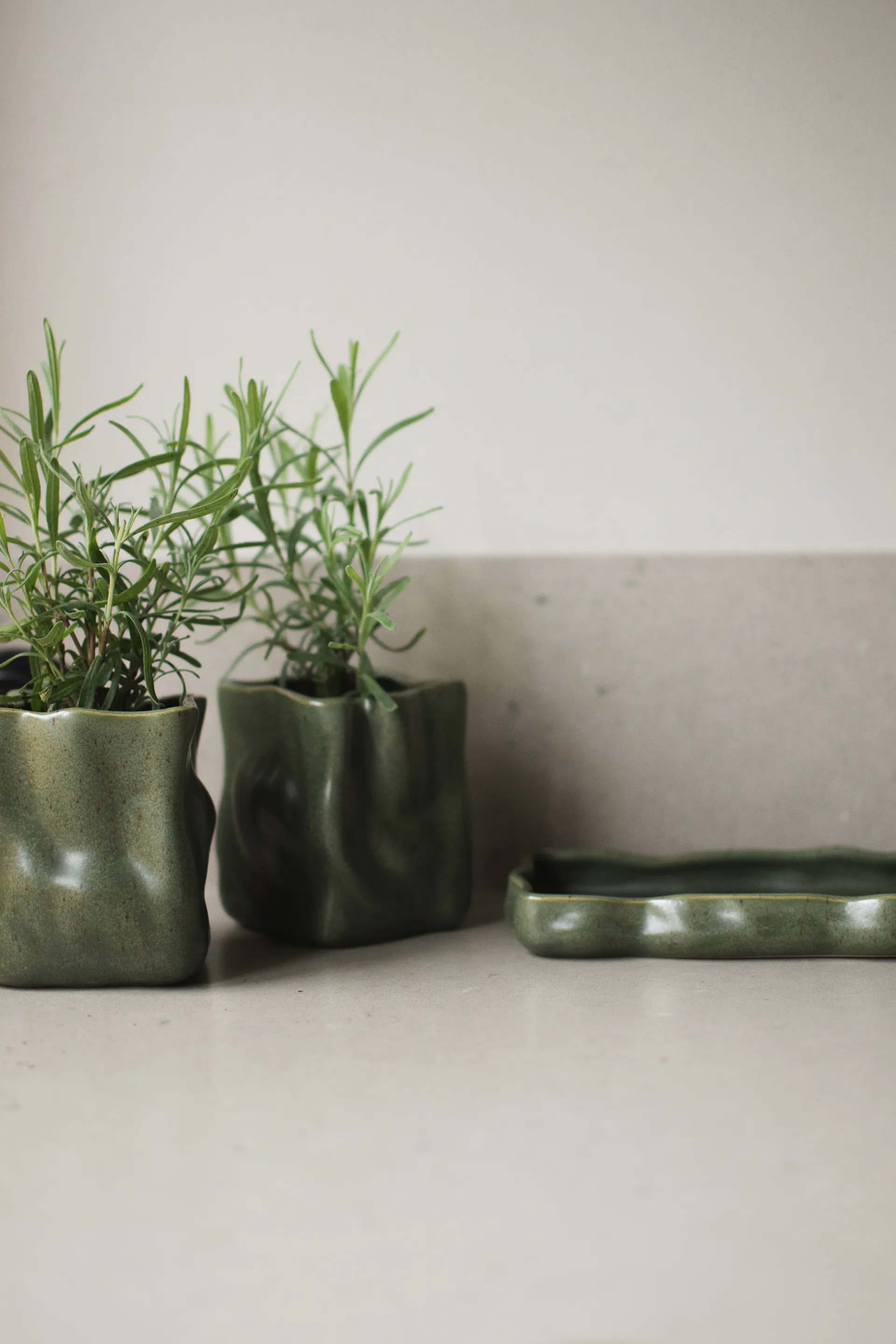 허브 화병과 트레이 3개 구성 세트, Moss DBKD | 디비케이디