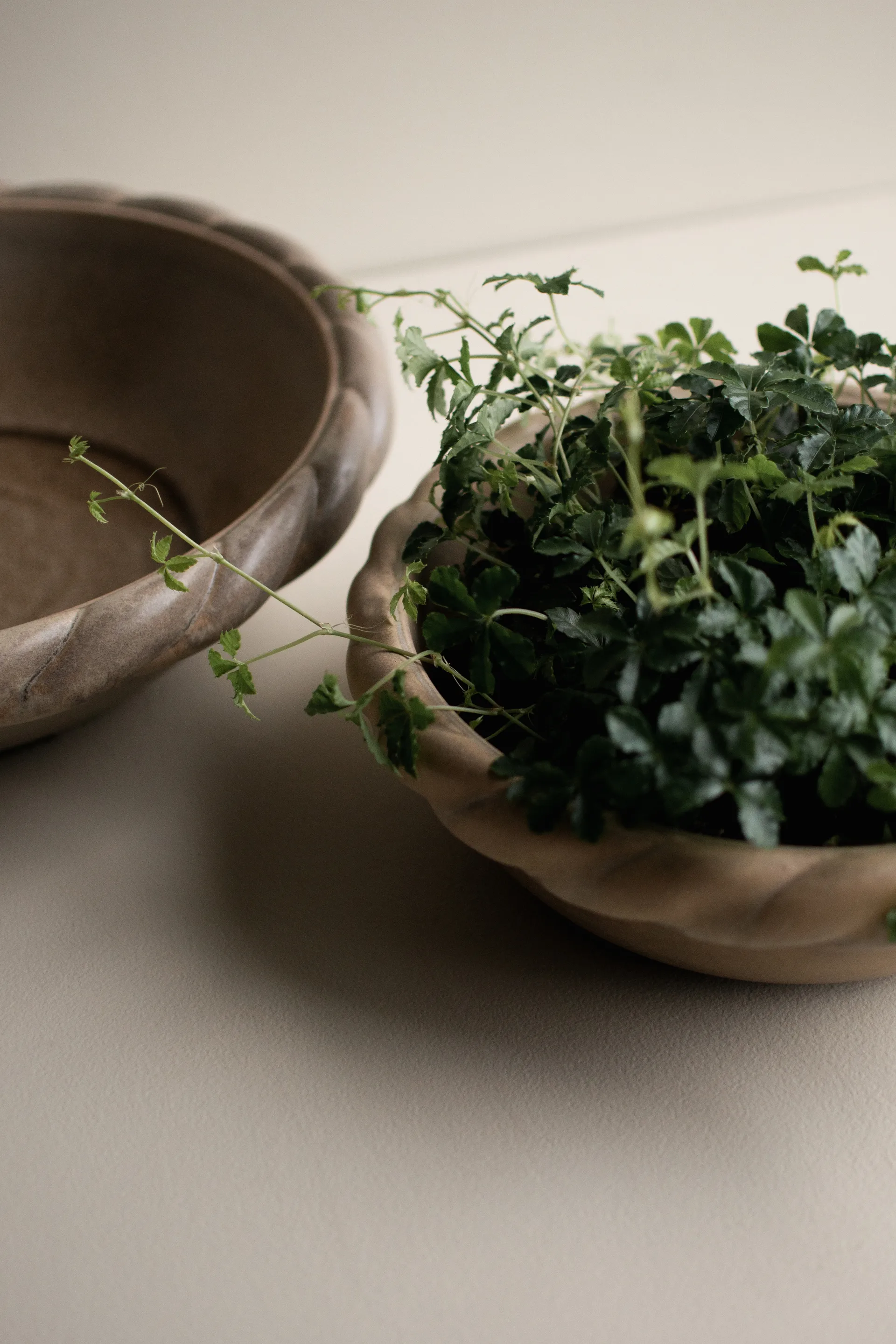 트와인 팻 Ø30 cm, Beige DBKD | 디비케이디