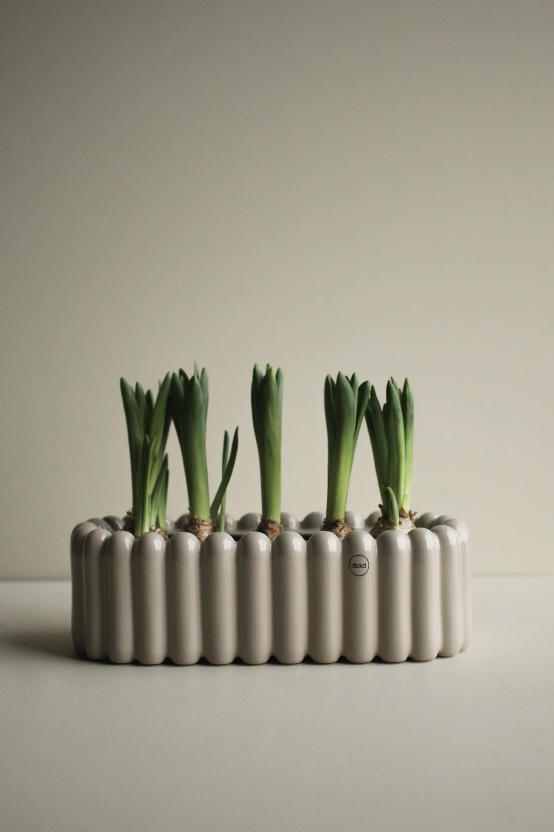 미스트 플라워팟 오벌 스몰 35 cm, Shiny mole DBKD | 디비케이디