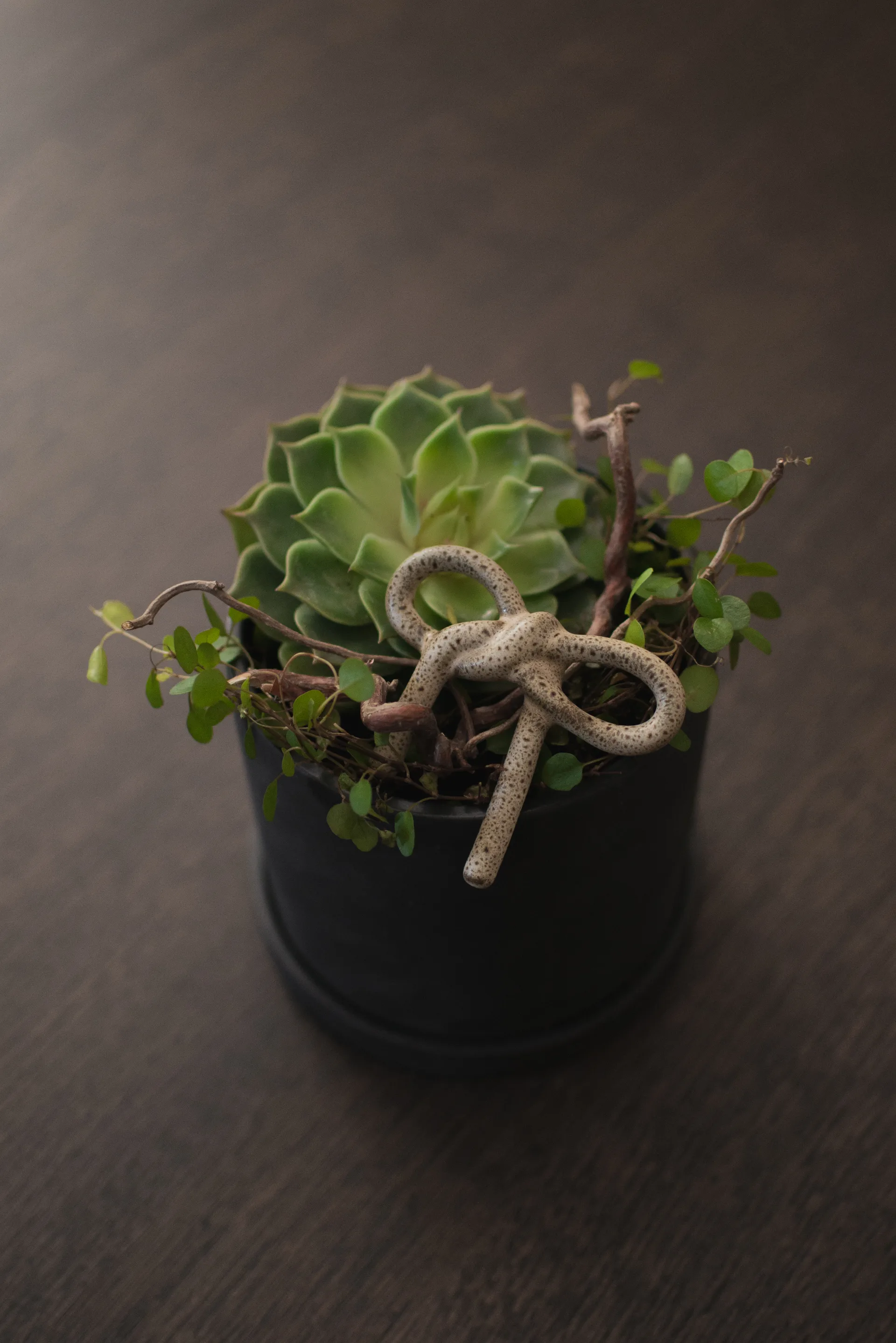 보우 플로럴 장식, Beige DBKD | 디비케이디