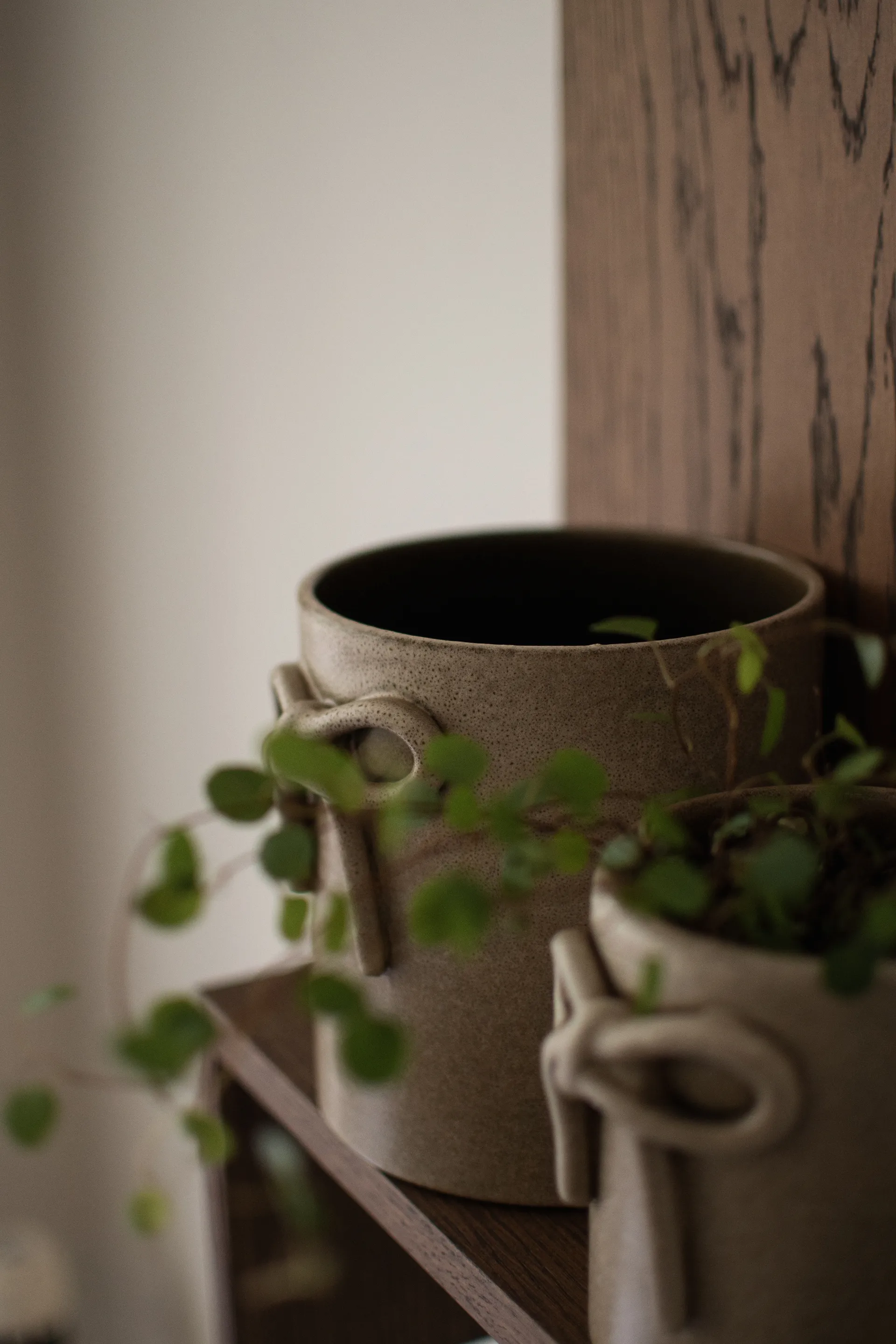 Bow 화분 Ø14 cm, Beige DBKD | 디비케이디