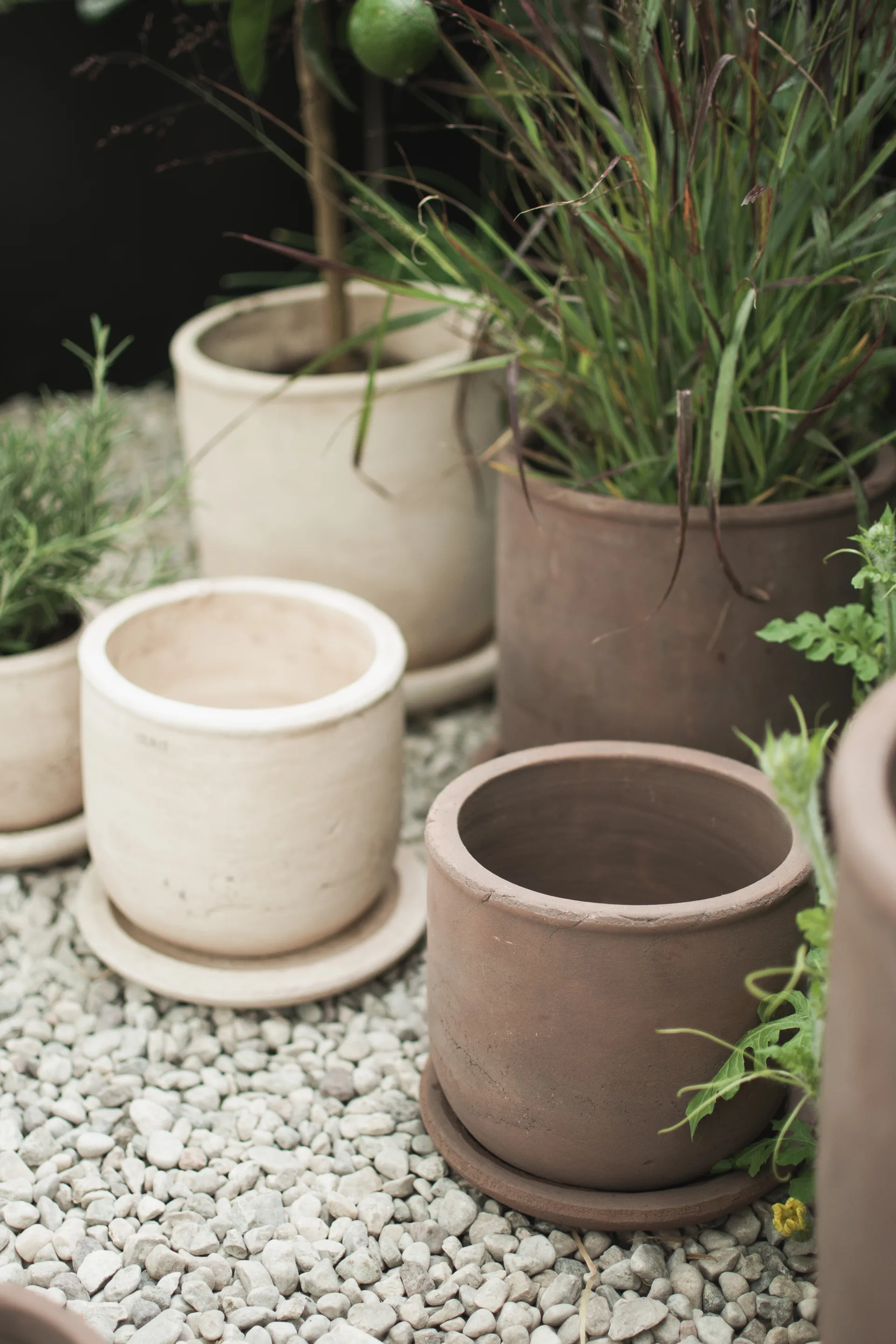 테라 플라워팟, Brown, Ø18x18 cm DBKD | 디비케이디