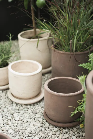 테라 플라워팟 - Brown, Ø18x18 cm - DBKD | 디비케이디
