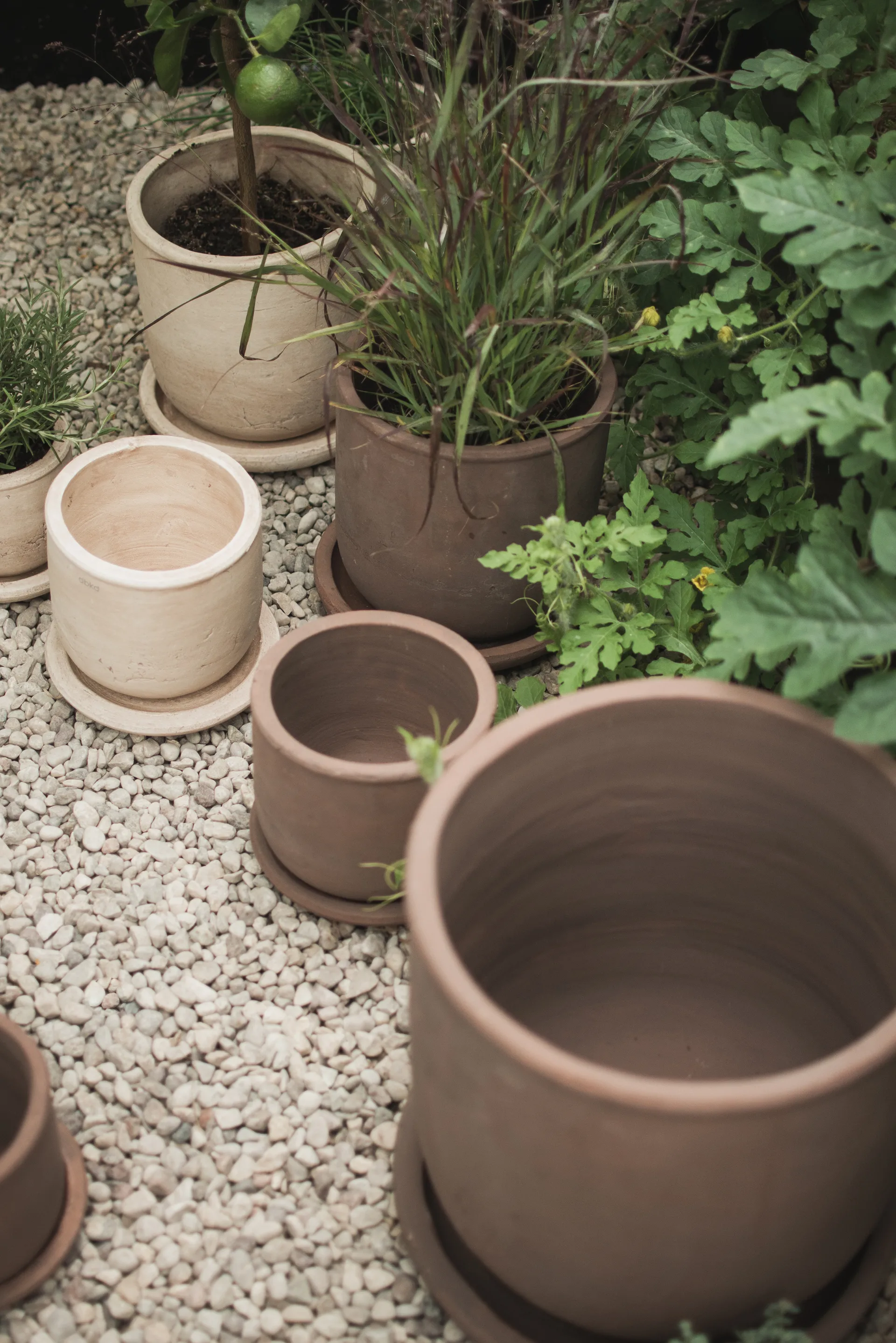 테라 플라워팟, Brown, Ø23x26 cm DBKD | 디비케이디