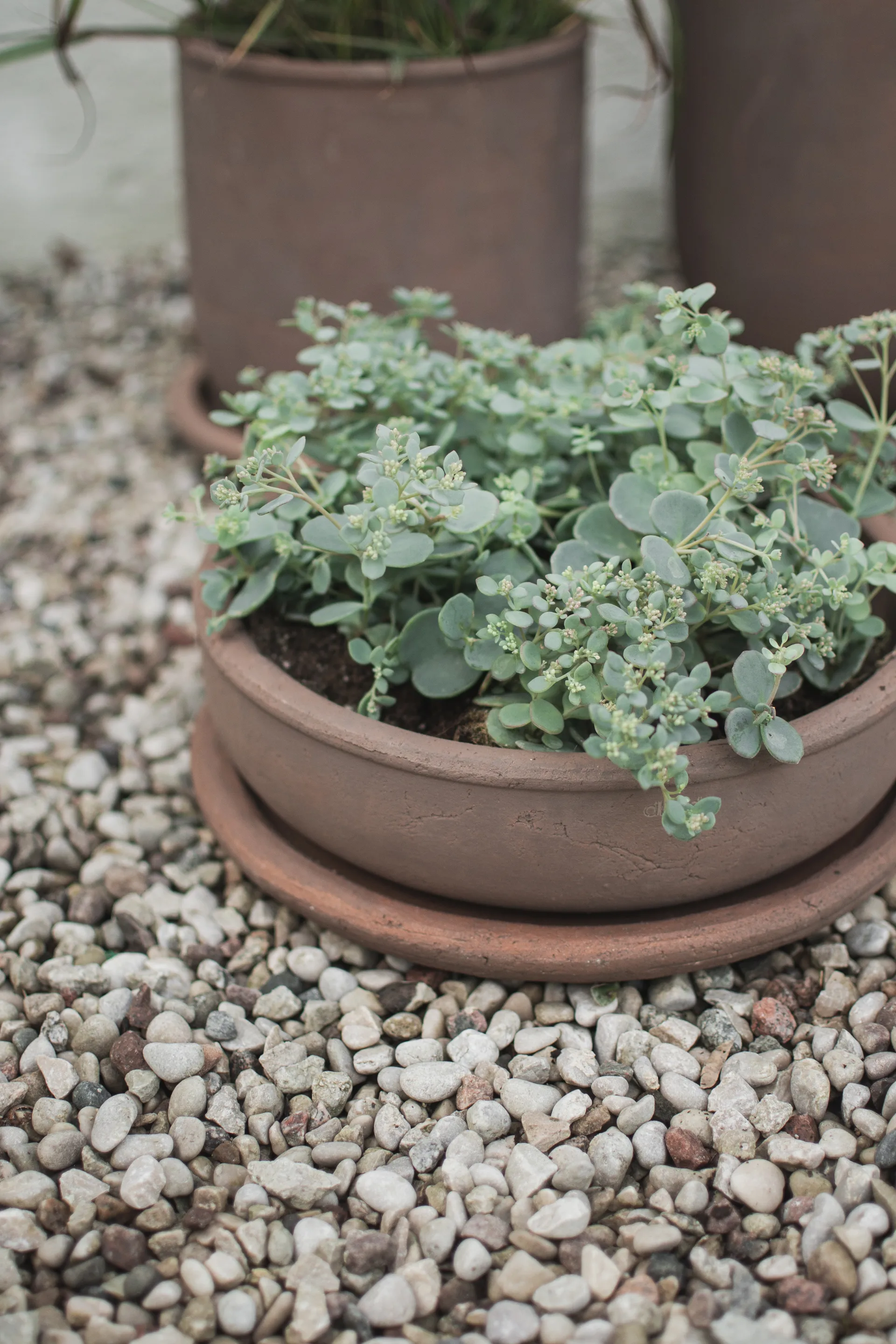 테라 볼 플랜터, Brown, Ø30x10.5 cm DBKD | 디비케이디