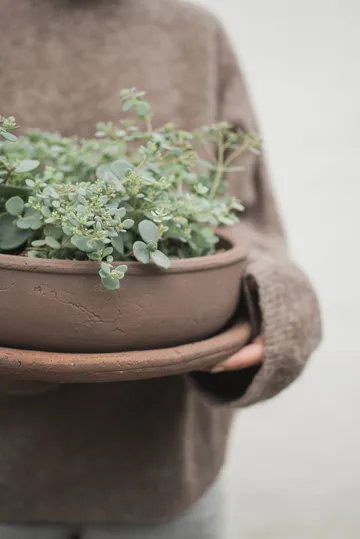 테라 볼 플랜터 - Brown, Ø30x10.5 cm - DBKD | 디비케이디