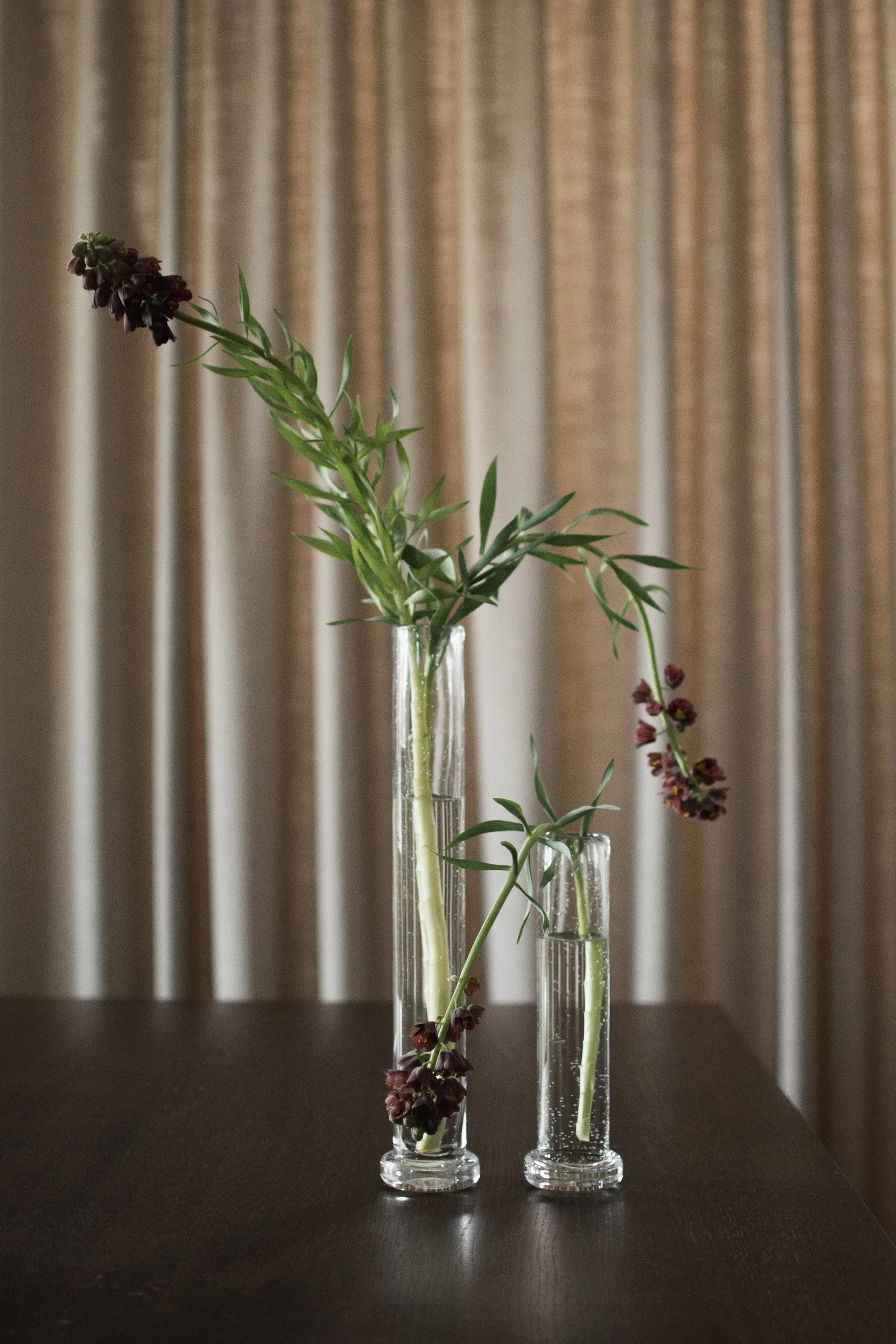 톨 화병, Clear, 40 cm DBKD | 디비케이디