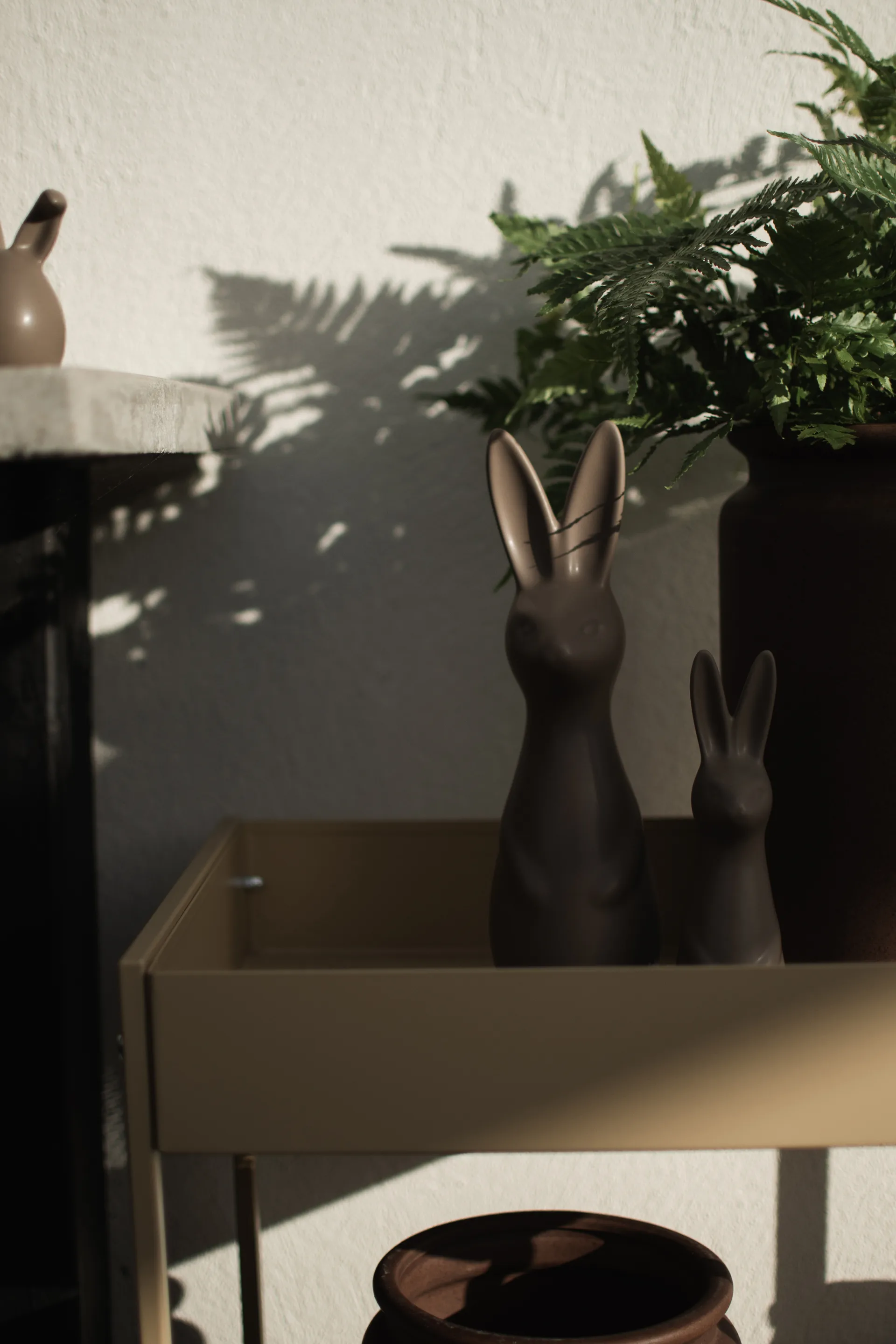 스웨디시 래빗 라지, dust DBKD | 디비케이디