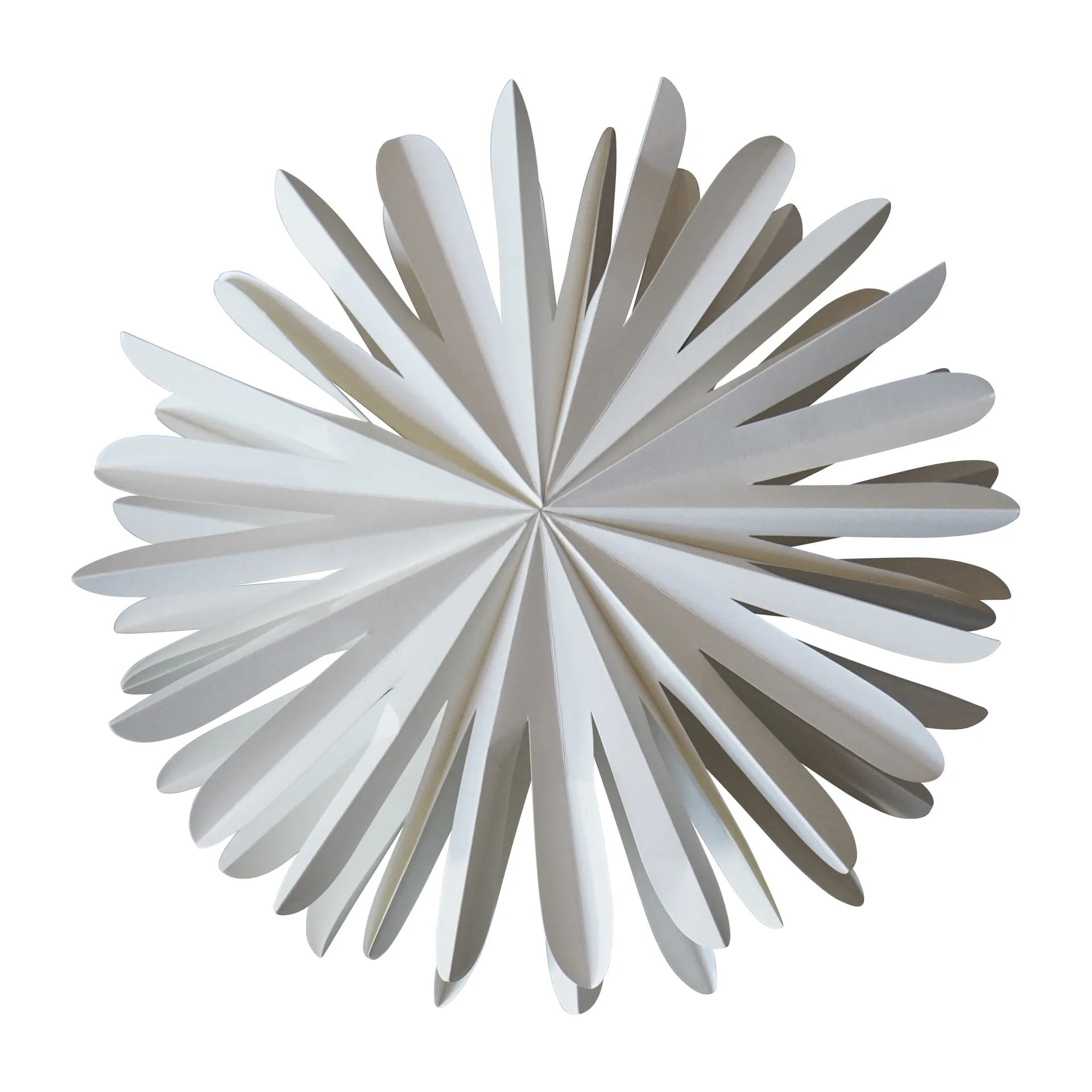 종이 눈꽃 데코레이션, Extra large DBKD | 디비케이디