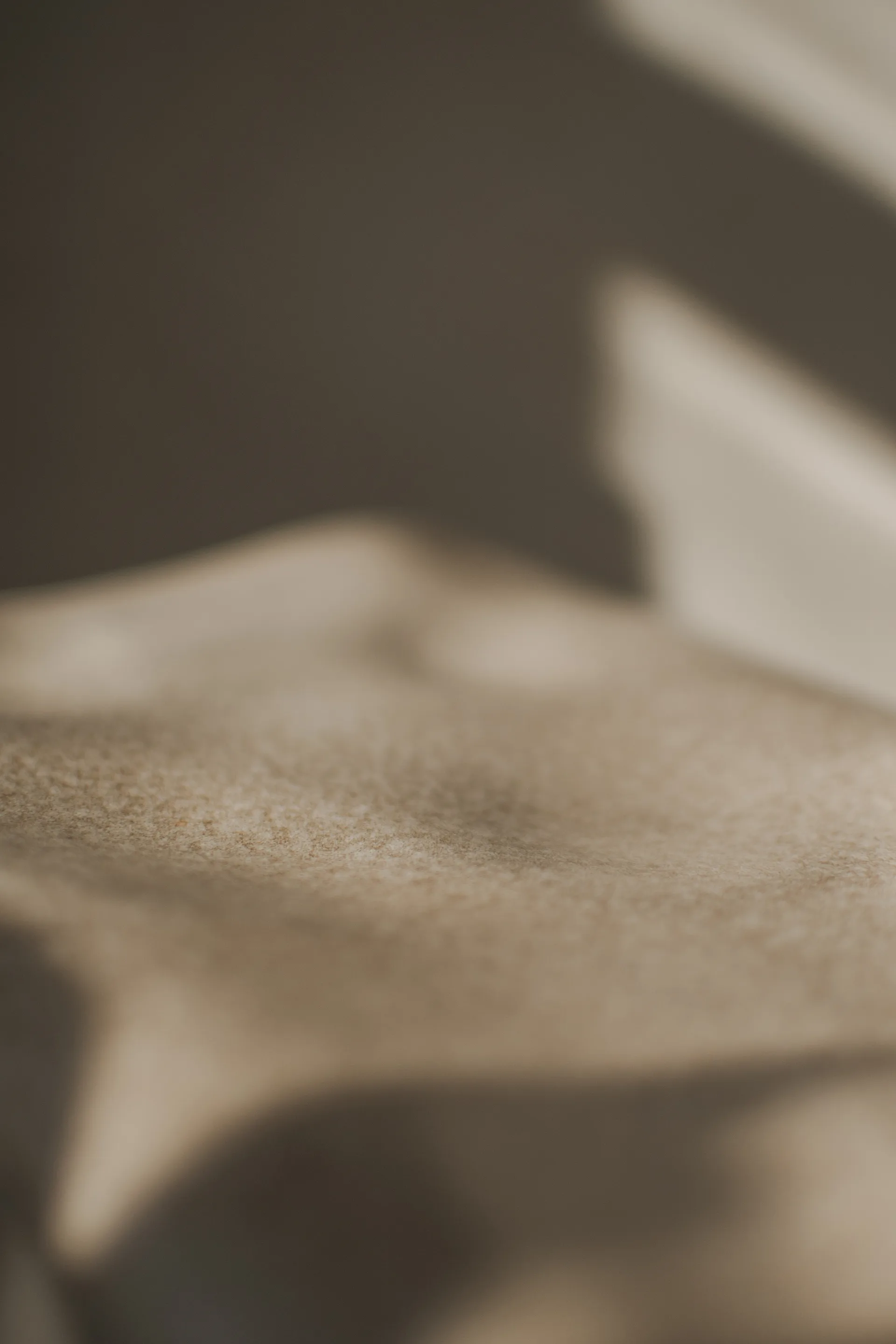 메도우 화병 H30 cm, Beige DBKD | 디비케이디