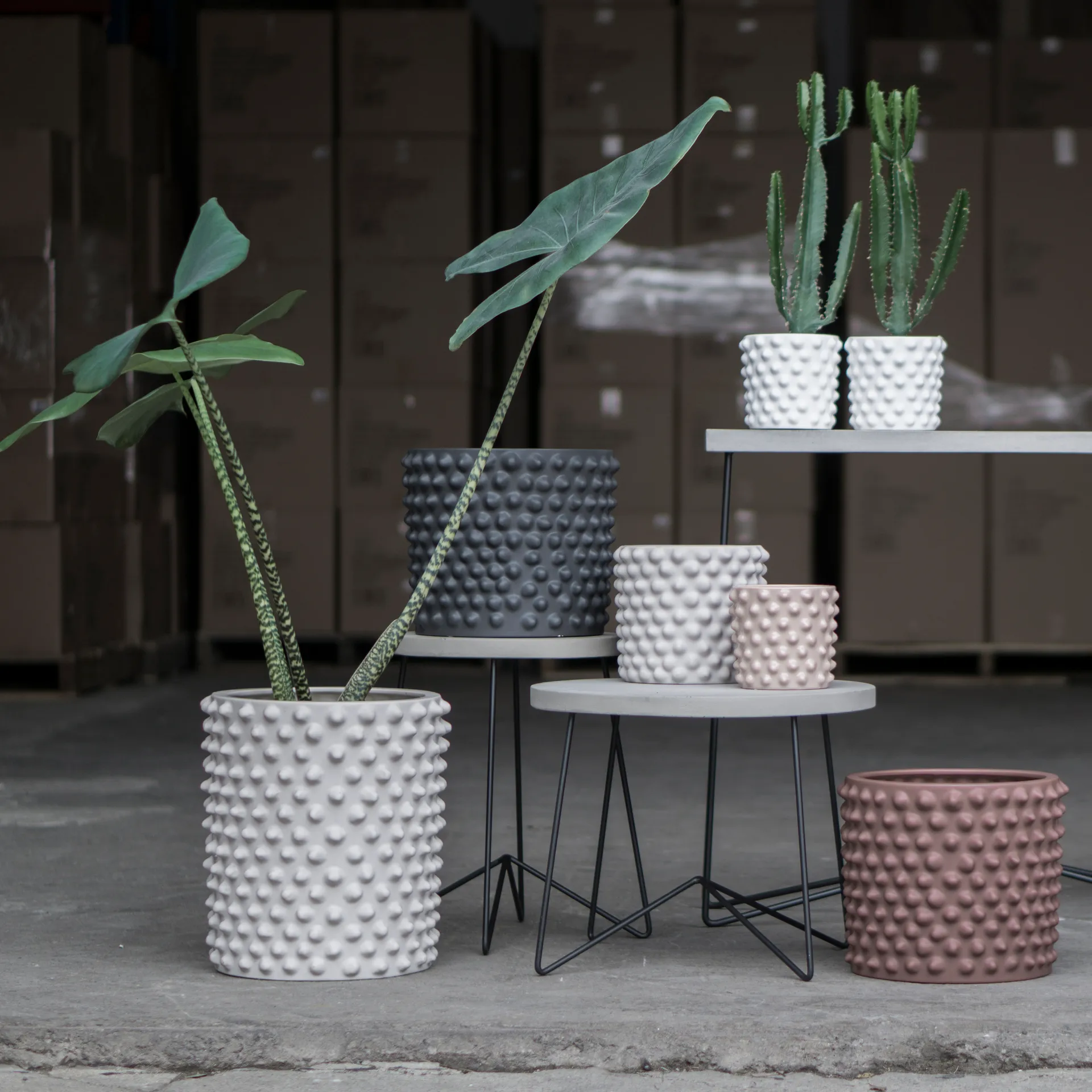 클라우디 팟 그레이지, Large Ø33 cm DBKD | 디비케이디