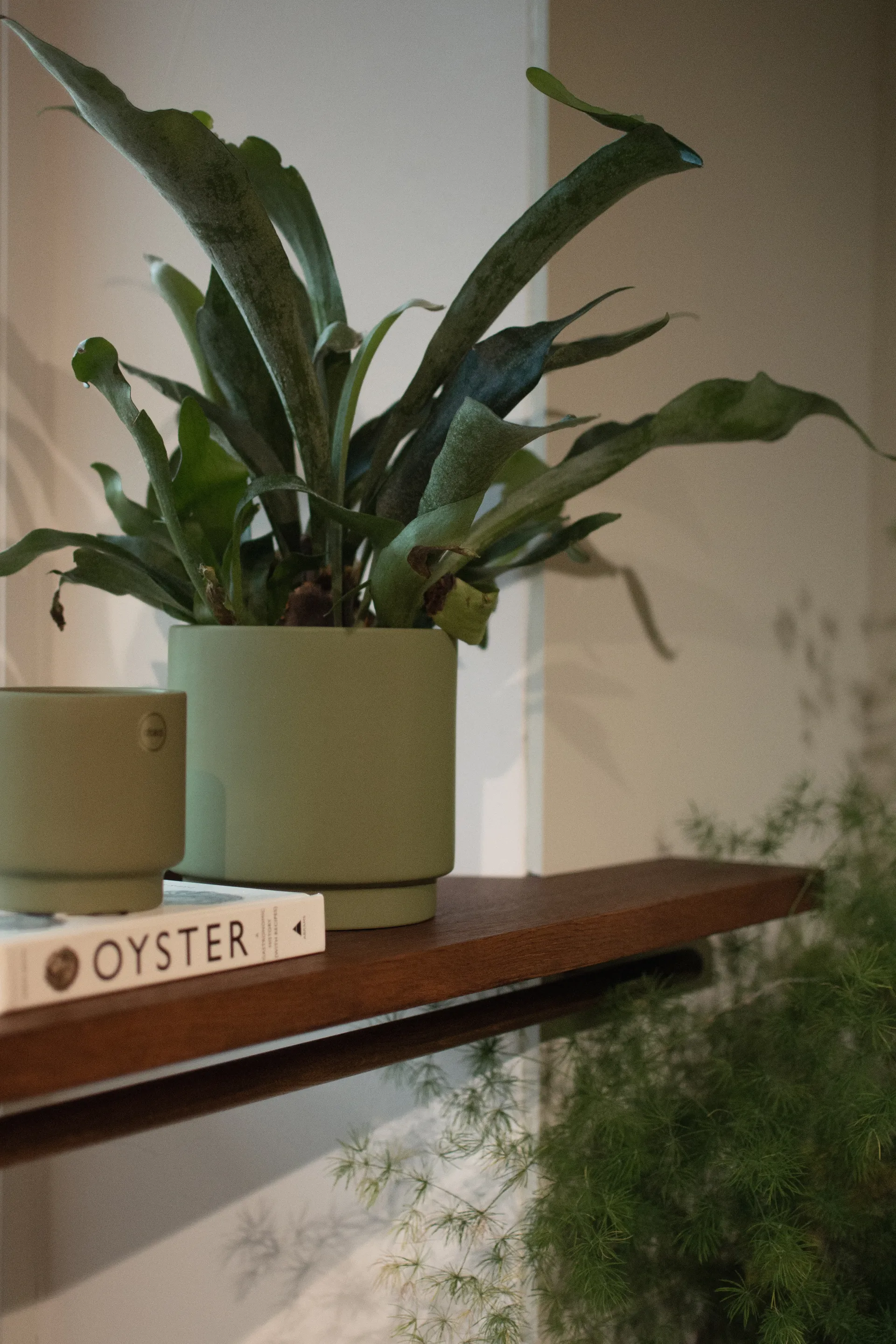 솔리드 화분 그린, Medium, Ø16 cm DBKD | 디비케이디