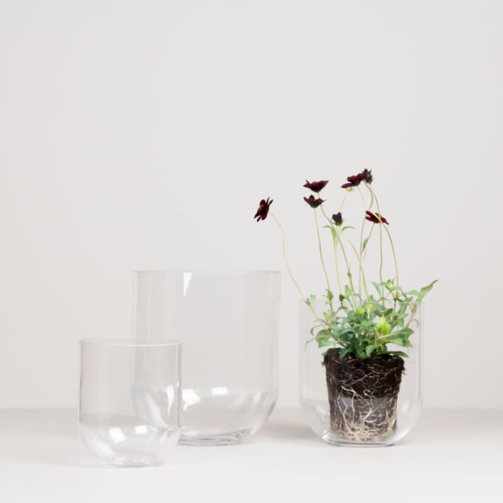 심플 유리 화병 medium, Clear DBKD | 디비케이디
