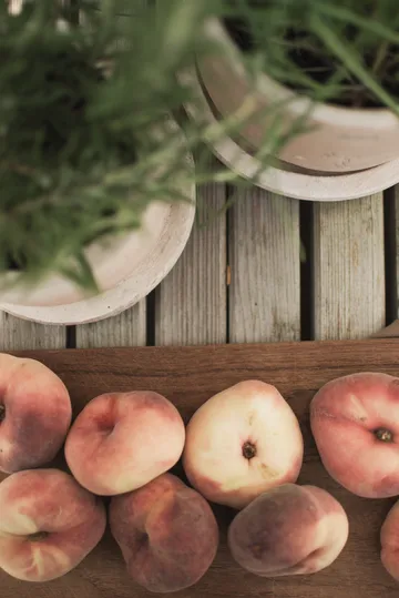 테라 플라워팟 - Sand, Ø16x16 cm - DBKD | 디비케이디