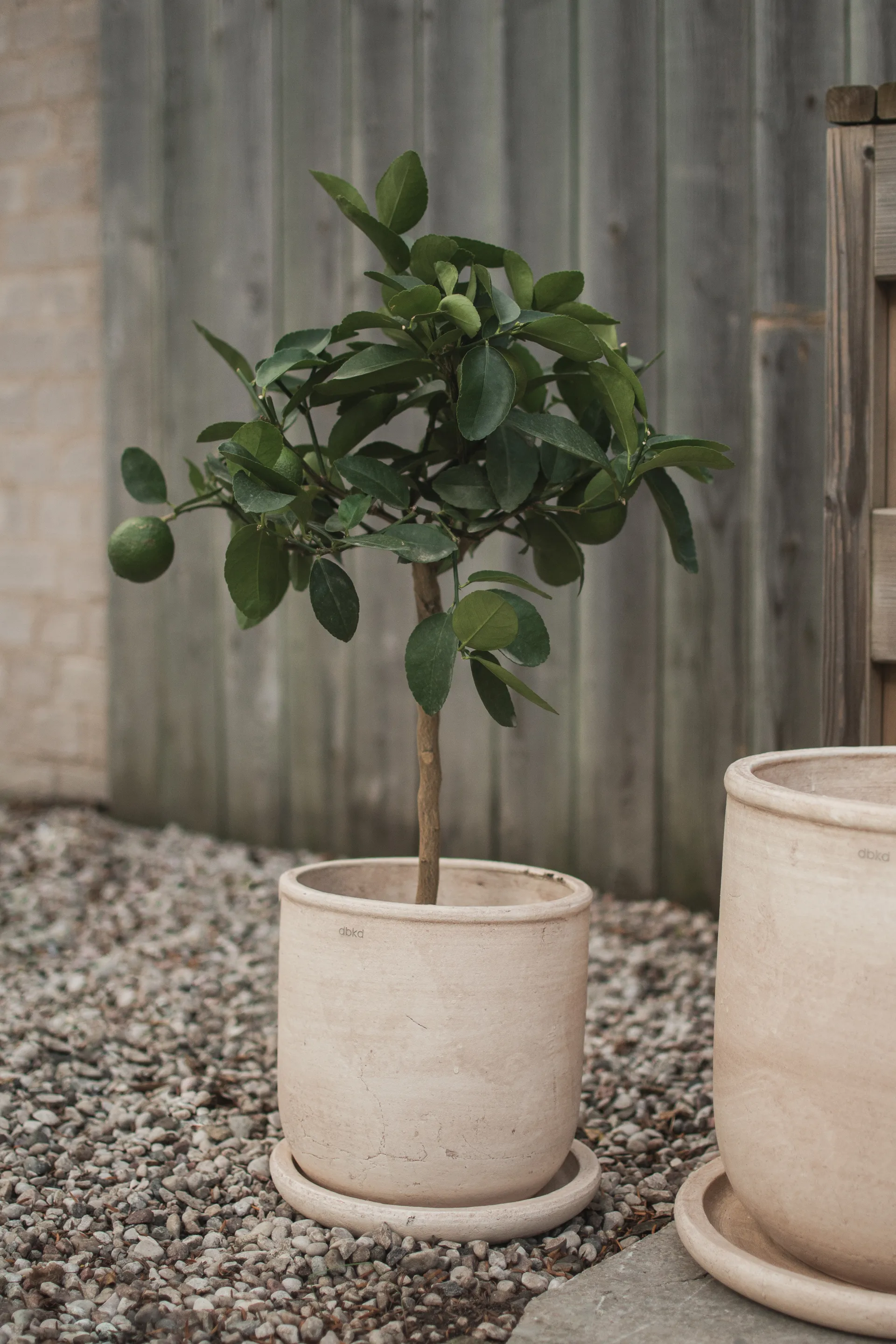 테라 플라워팟, Sand, Ø23x26 cm DBKD | 디비케이디