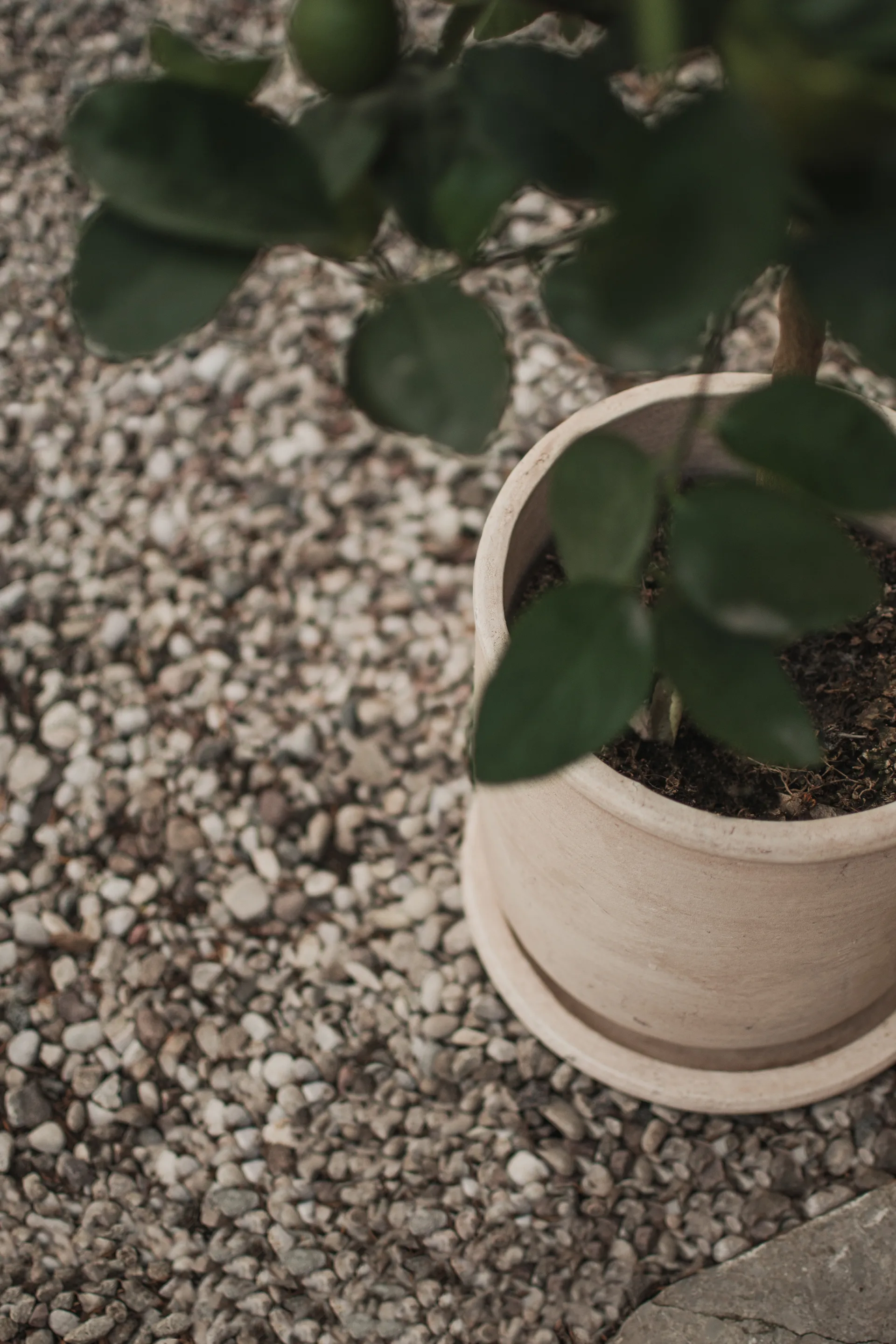 테라 플라워팟, Sand, Ø23x26 cm DBKD | 디비케이디