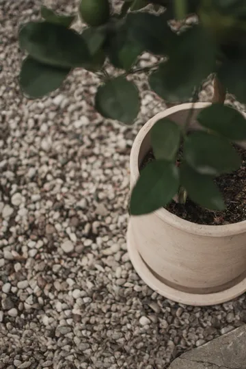 테라 플라워팟 - Sand, Ø23x26 cm - DBKD | 디비케이디