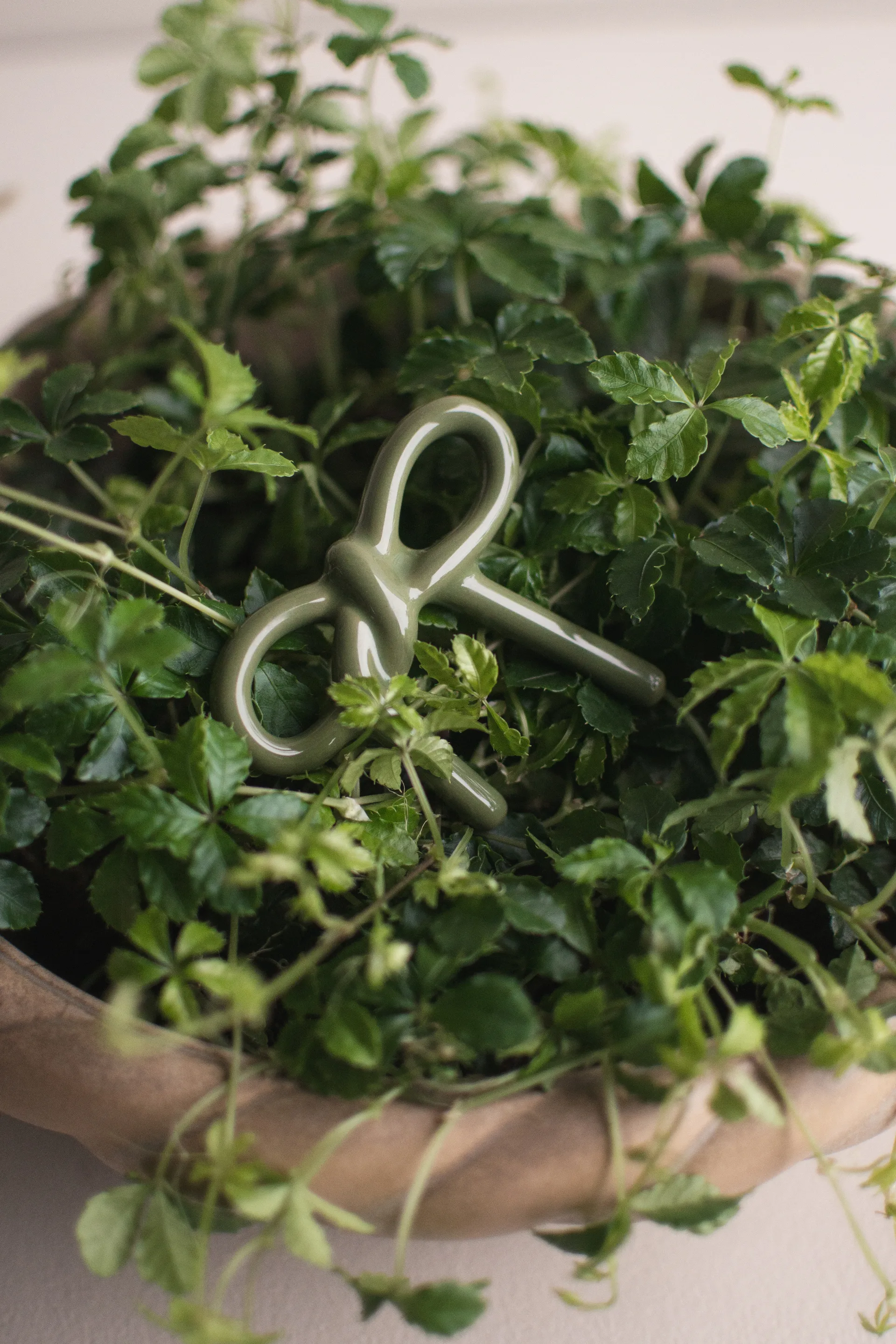 보우 플로럴 장식, Shiny green DBKD | 디비케이디