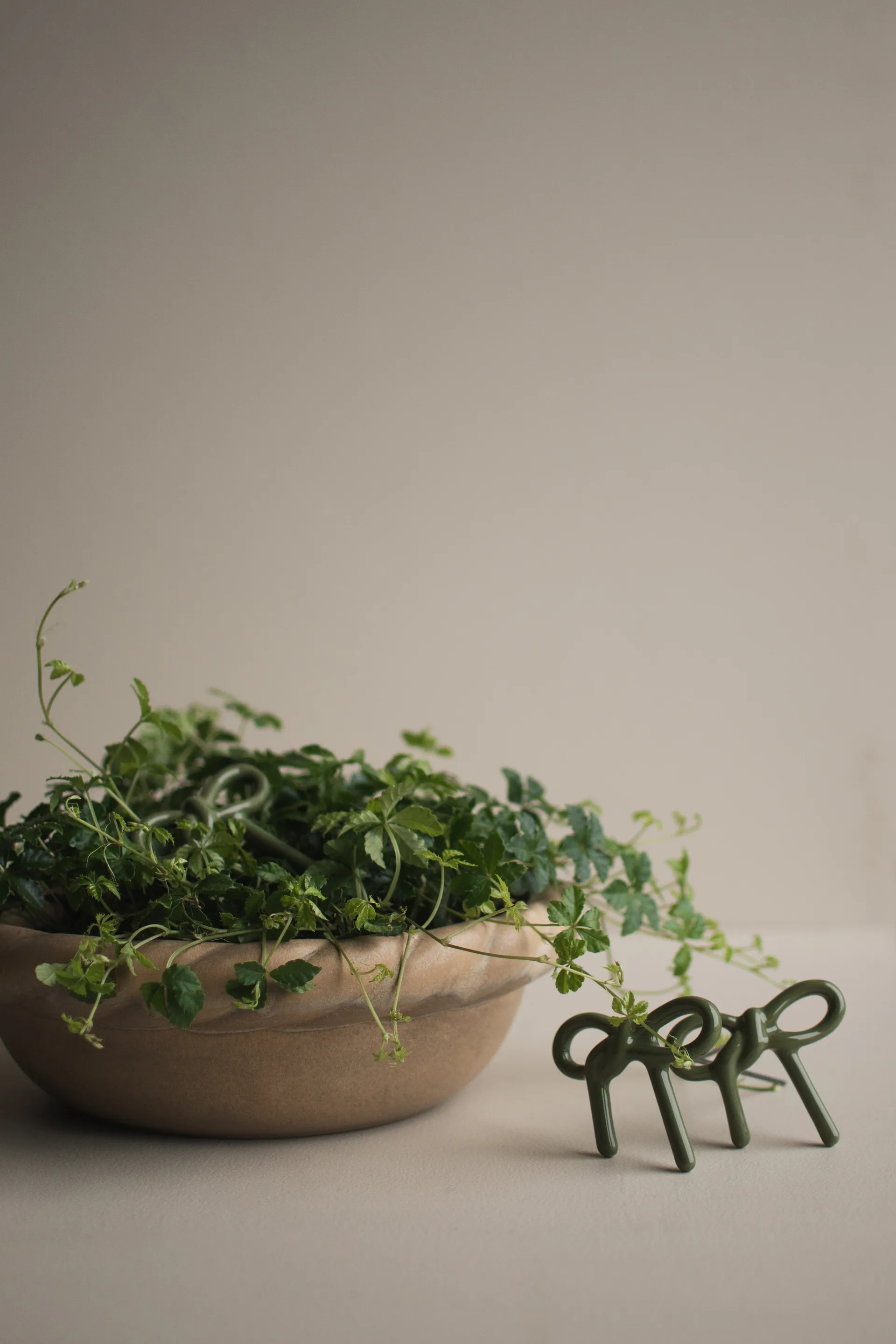 보우 플로럴 장식, Shiny green DBKD | 디비케이디