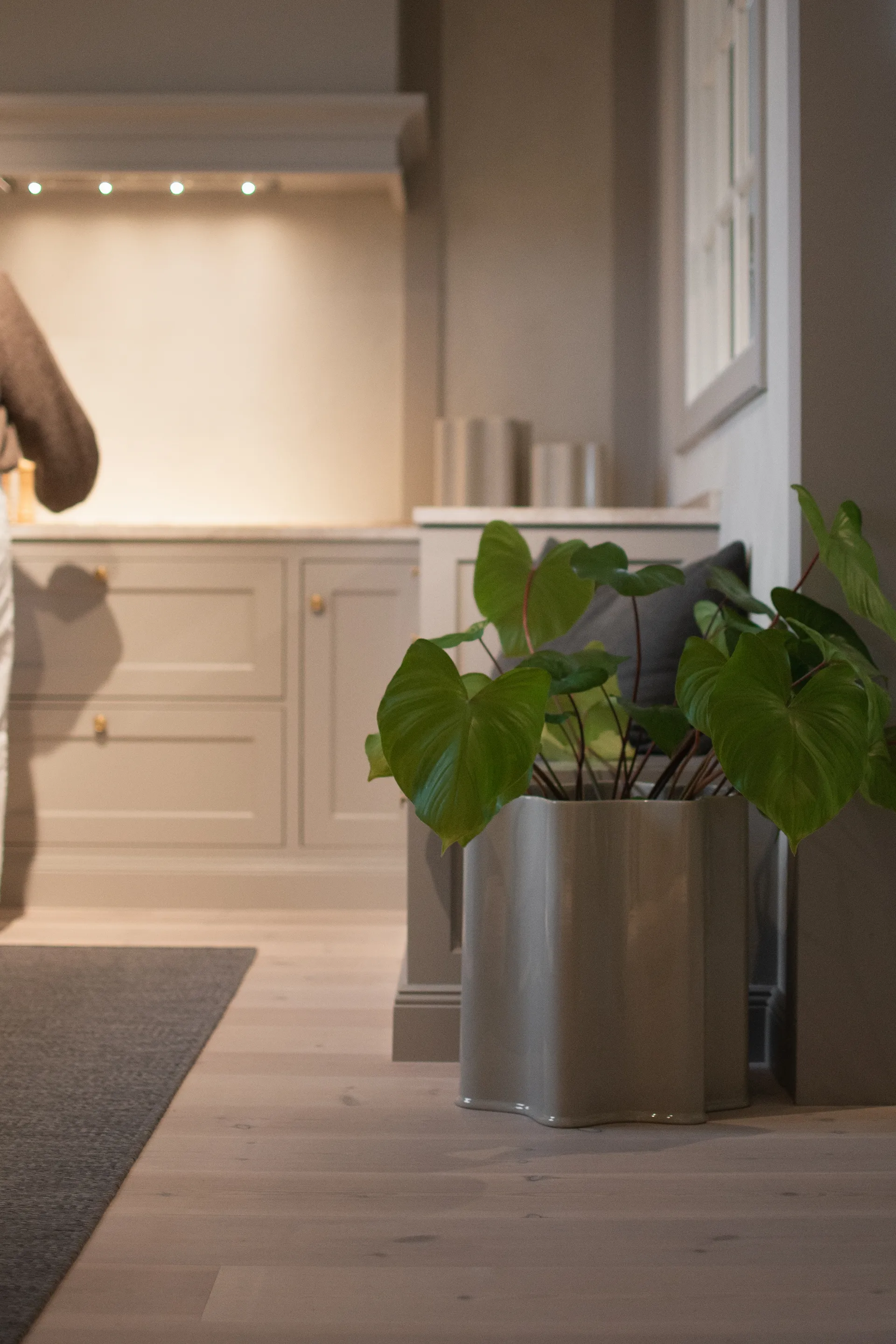 필터 화분, Shiny mole, Ø41 cm DBKD | 디비케이디