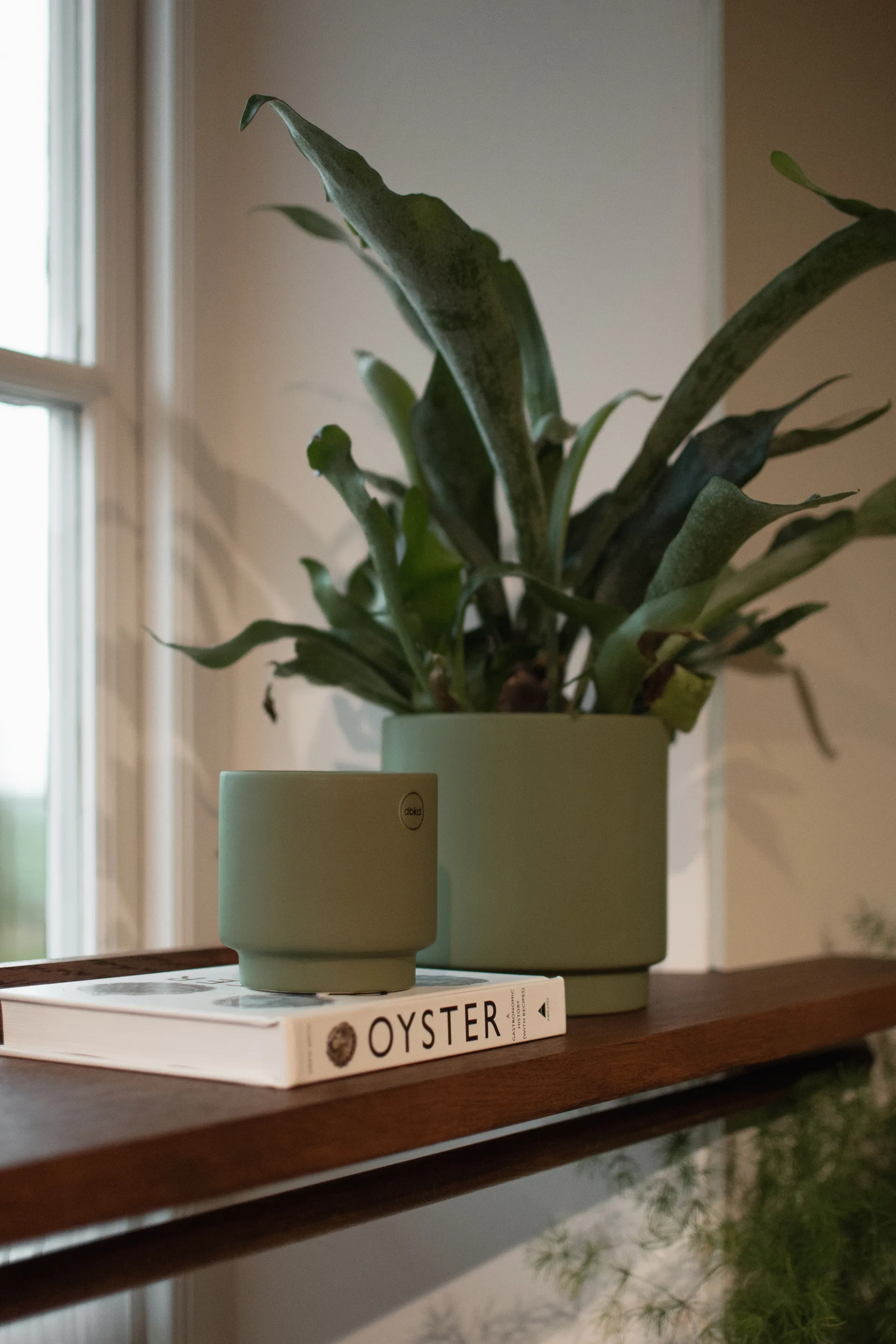 솔리드 화분 그린, Small, Ø10 cm DBKD | 디비케이디