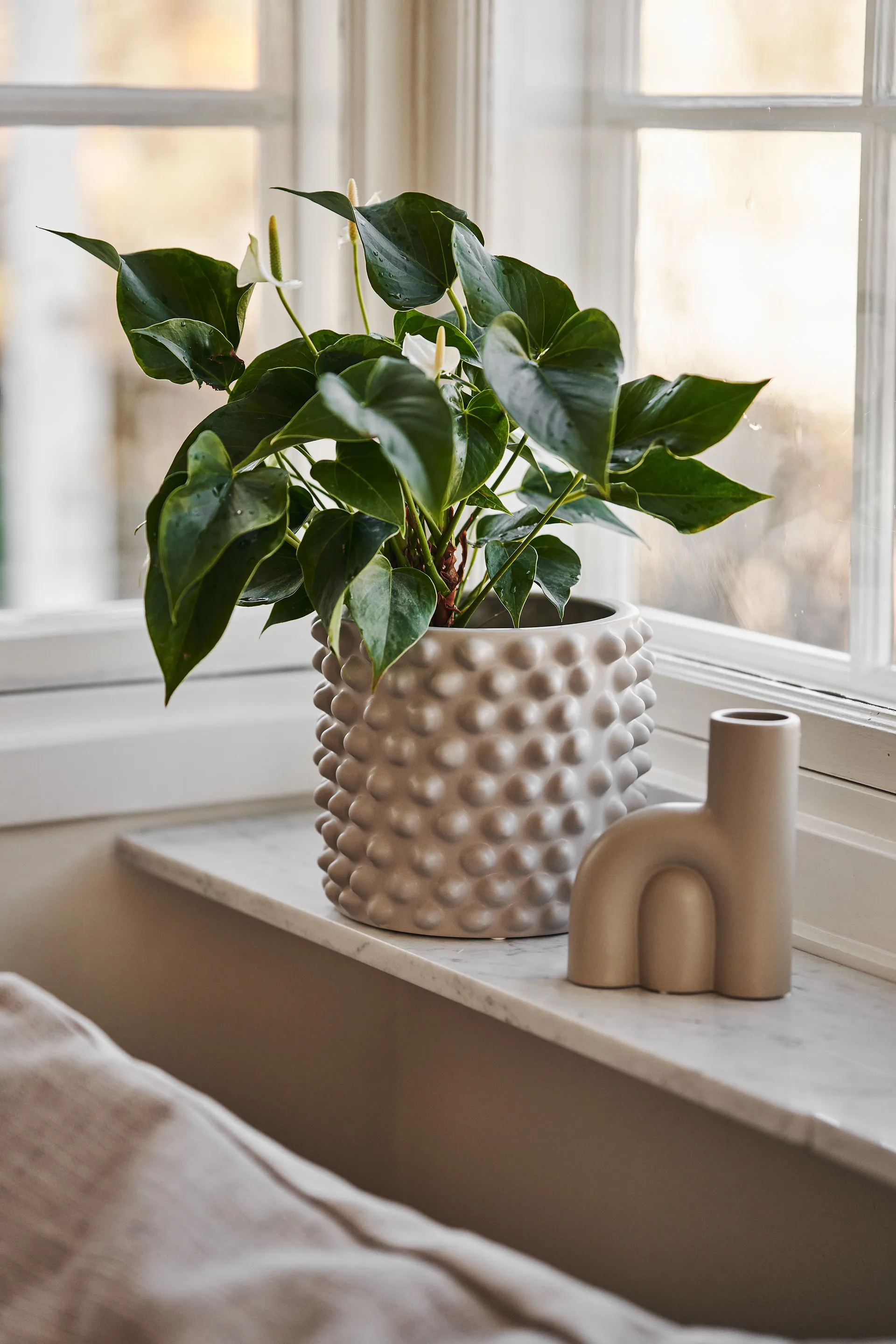 클라우디 팟 그레이지, Small Ø20 cm DBKD | 디비케이디