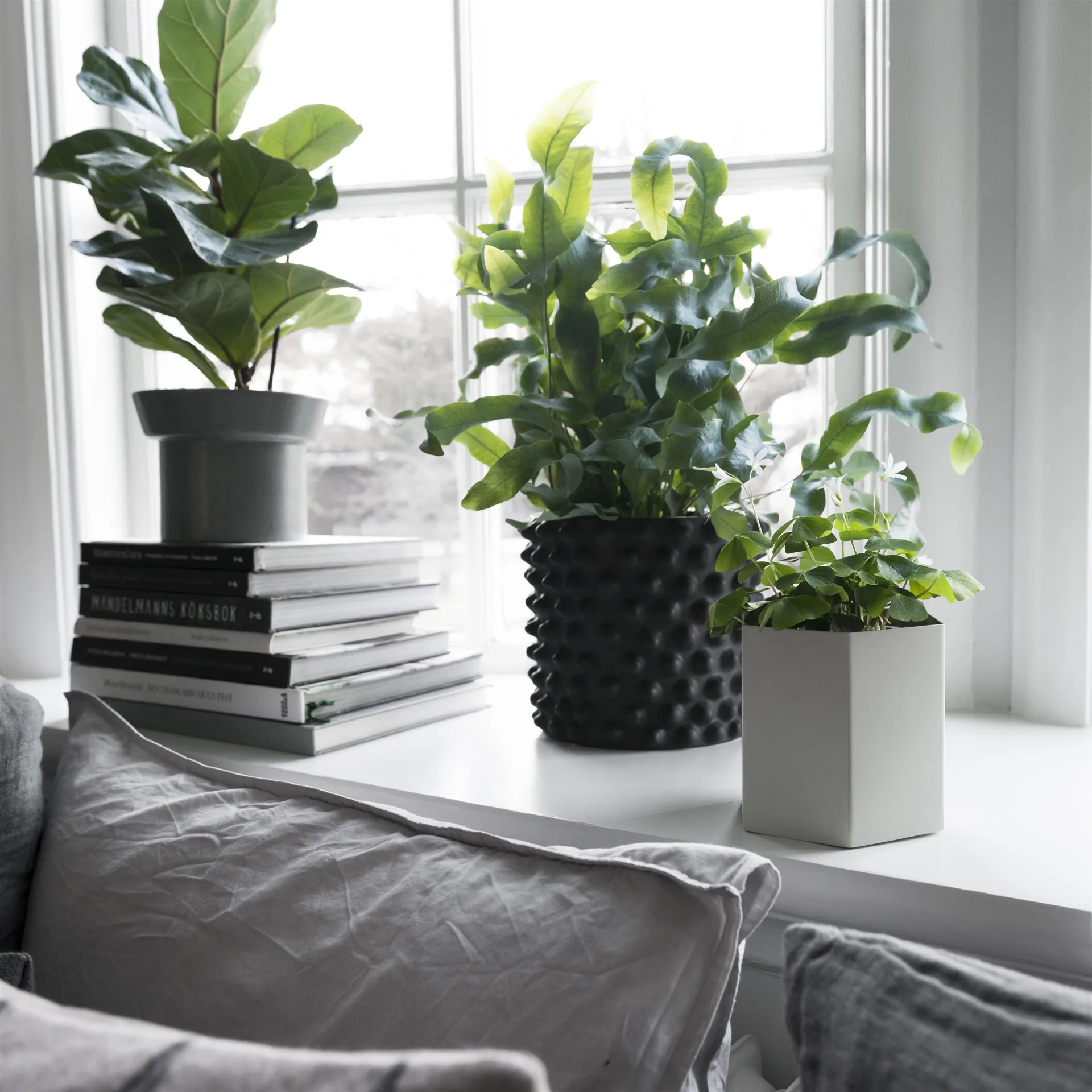 클라우디 팟 다크 그린, small, Ø 21 cm DBKD | 디비케이디