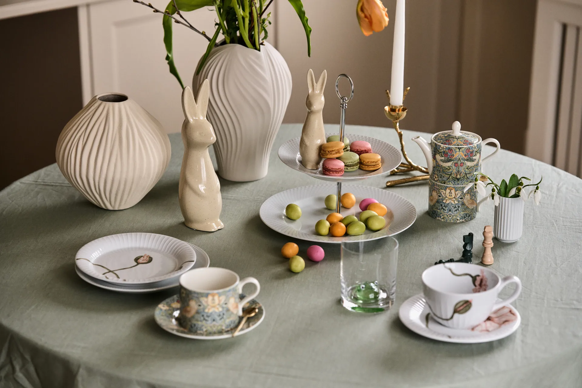 스웨디시 래빗 라지, Vanilla DBKD | 디비케이디