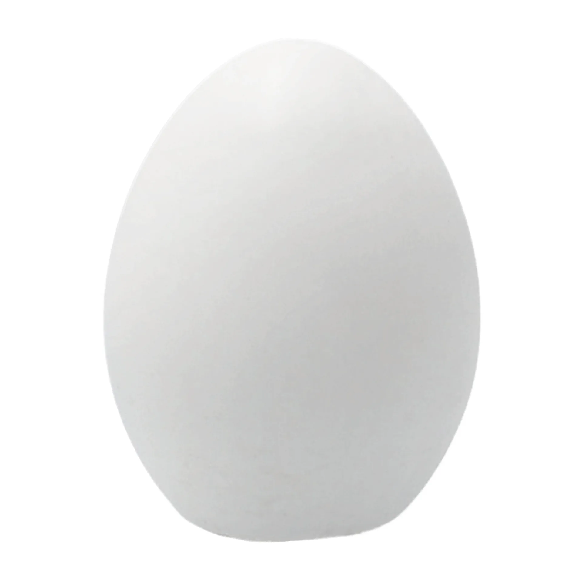 데코레이션 에그, White DBKD | 디비케이디