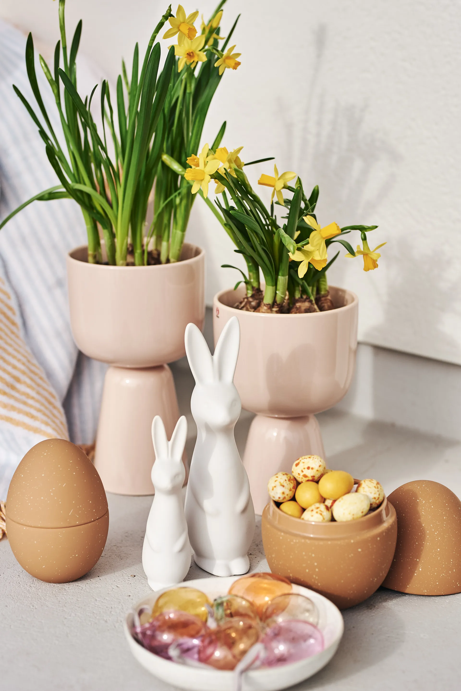 스웨디시 래빗 라지, white DBKD | 디비케이디