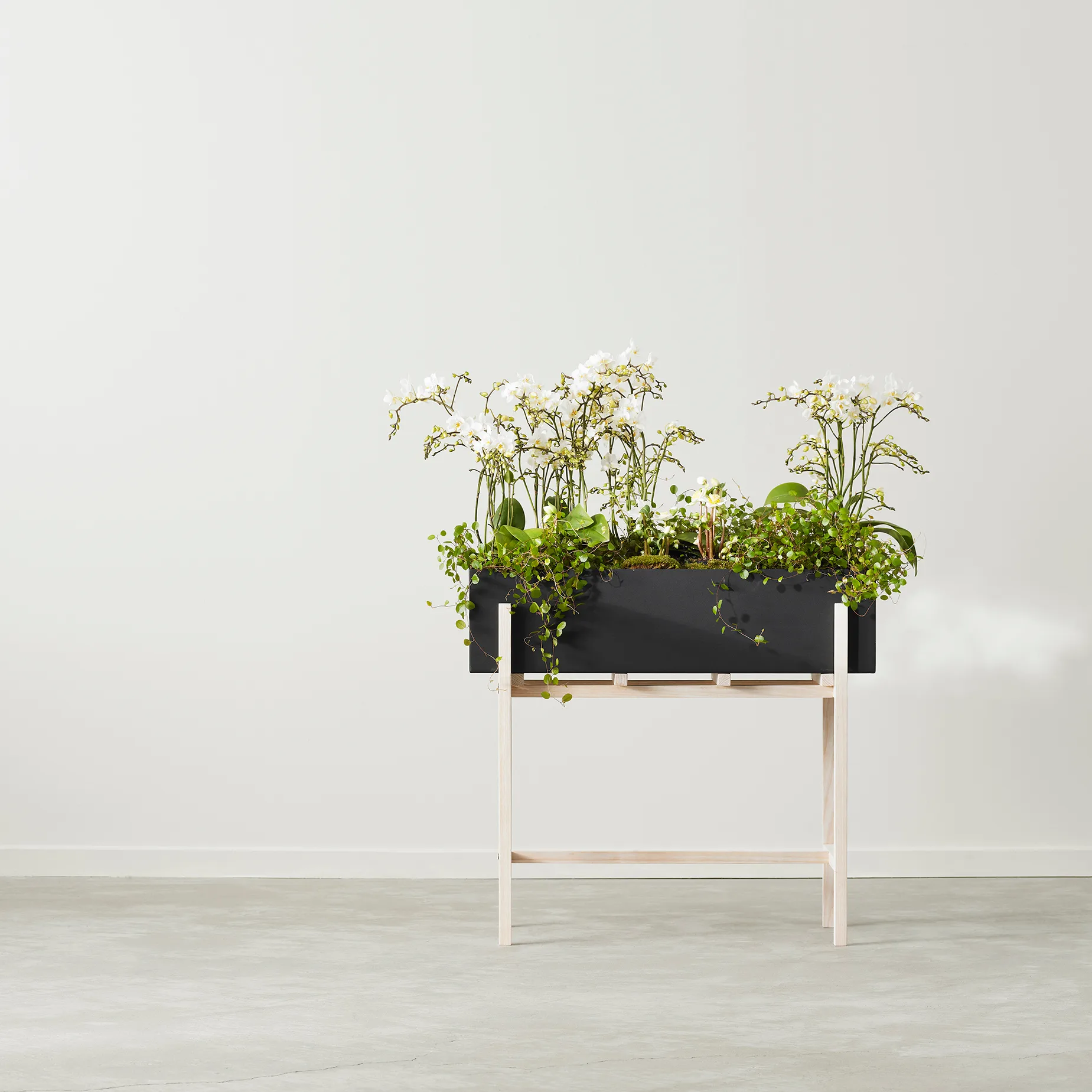 보타닉 플라워 스탠드, Black-ash Design House Stockholm | 디자인하우스스톡홀름