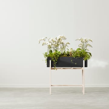 보타닉 플라워 스탠드 - Black-ash - Design House Stockholm | 디자인하우스스톡홀름