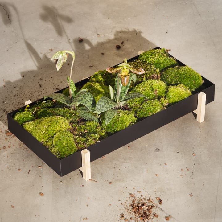 플라워 트레이, black Design House Stockholm | 디자인하우스스톡홀름