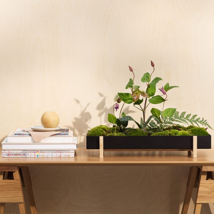 플라워 트레이, black Design House Stockholm | 디자인하우스스톡홀름