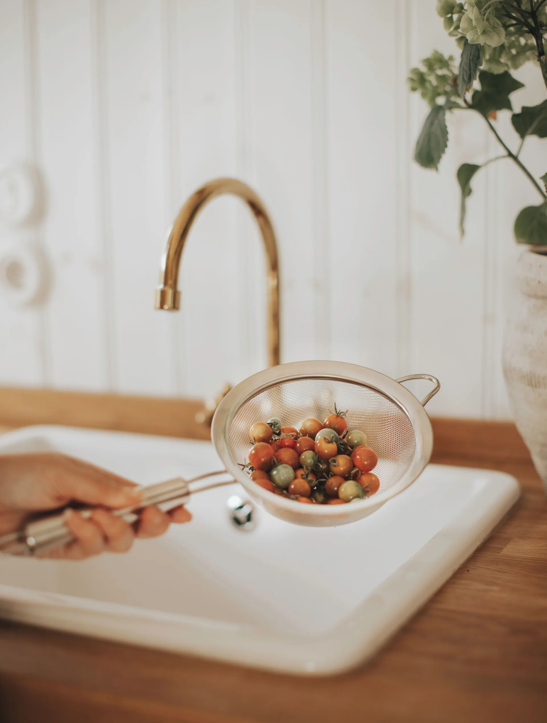 피아 거름망 Ø16 cm, Stainless steel Dorre | 도레