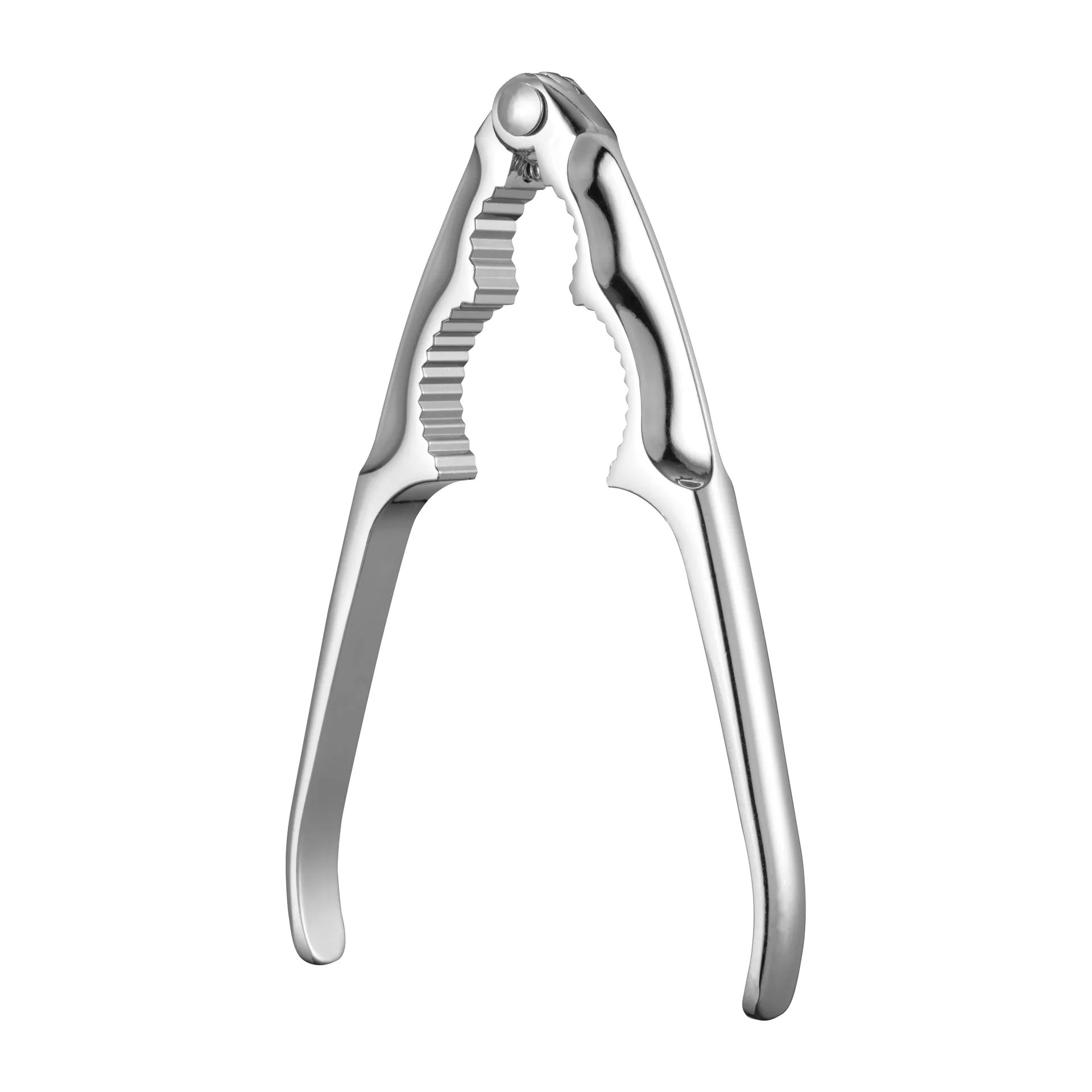 너트  & 씨푸드 크래커, 16.5 cm Dorre | 도레